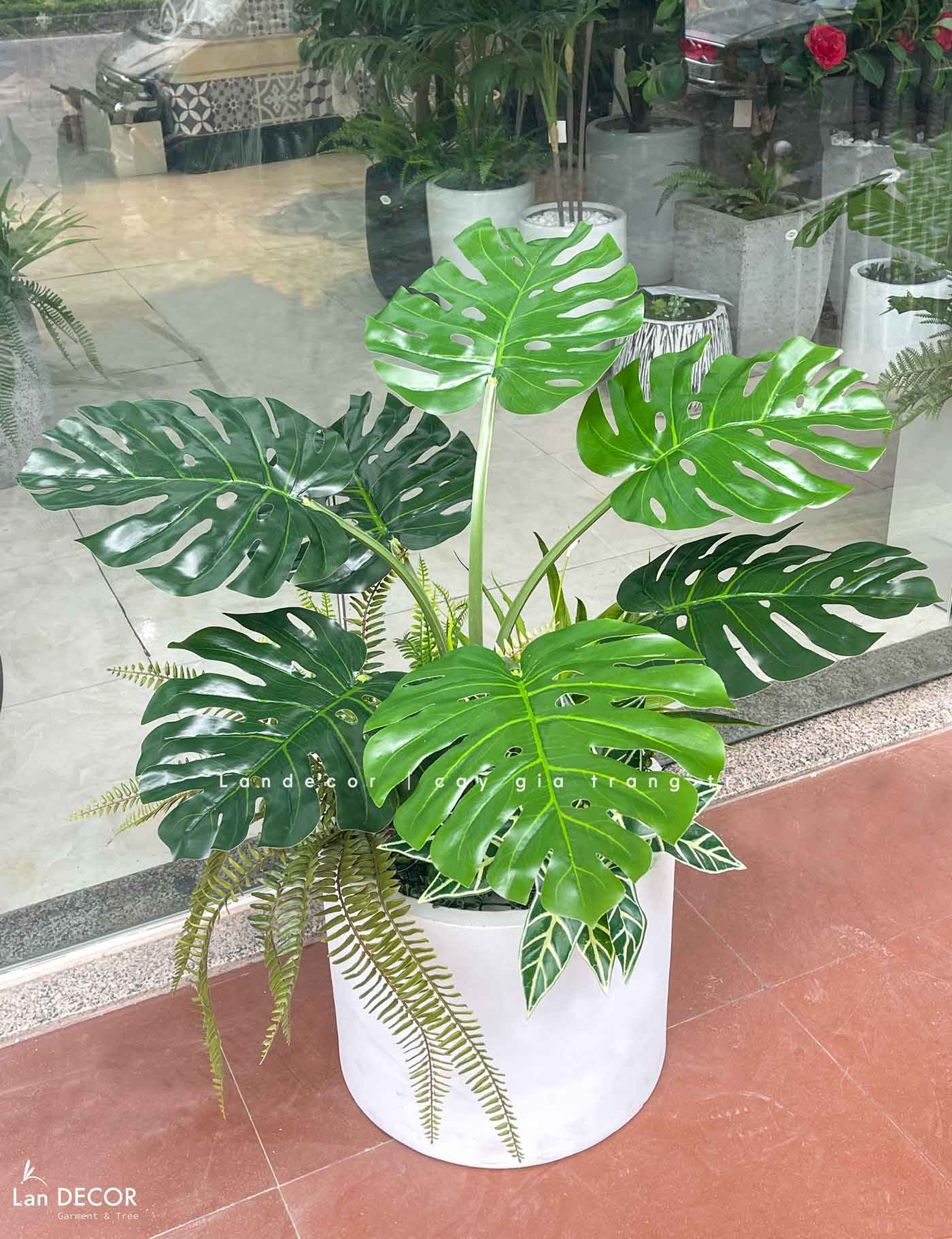 Chậu cây Monstera trang trí tiểu cảnh nhà Landecor (85cm) - LC3057 Mix