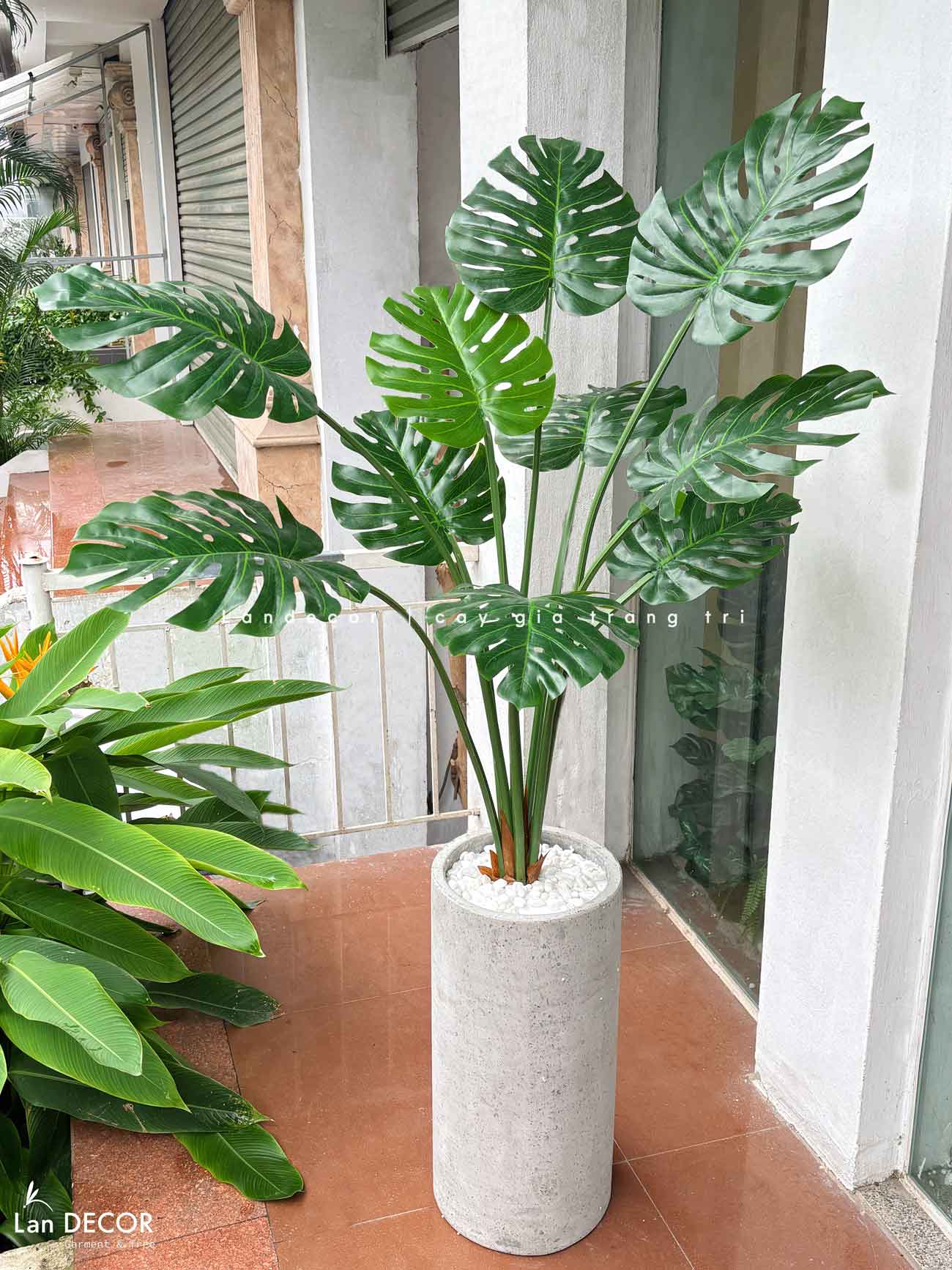 Cây lá xẻ cây monstera trang trí không gian hiện đại (120cm) - LC3024