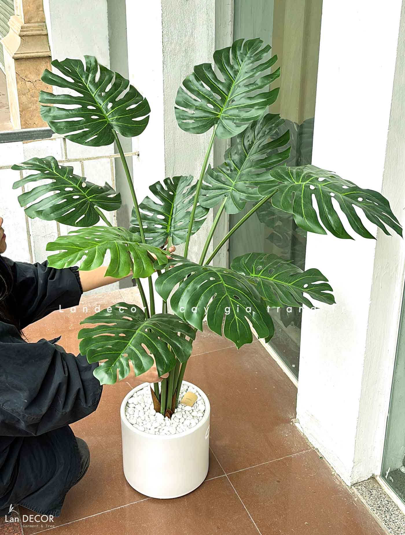 Cây lá xẻ cây monstera trang trí không gian hiện đại (120cm) - LC3024