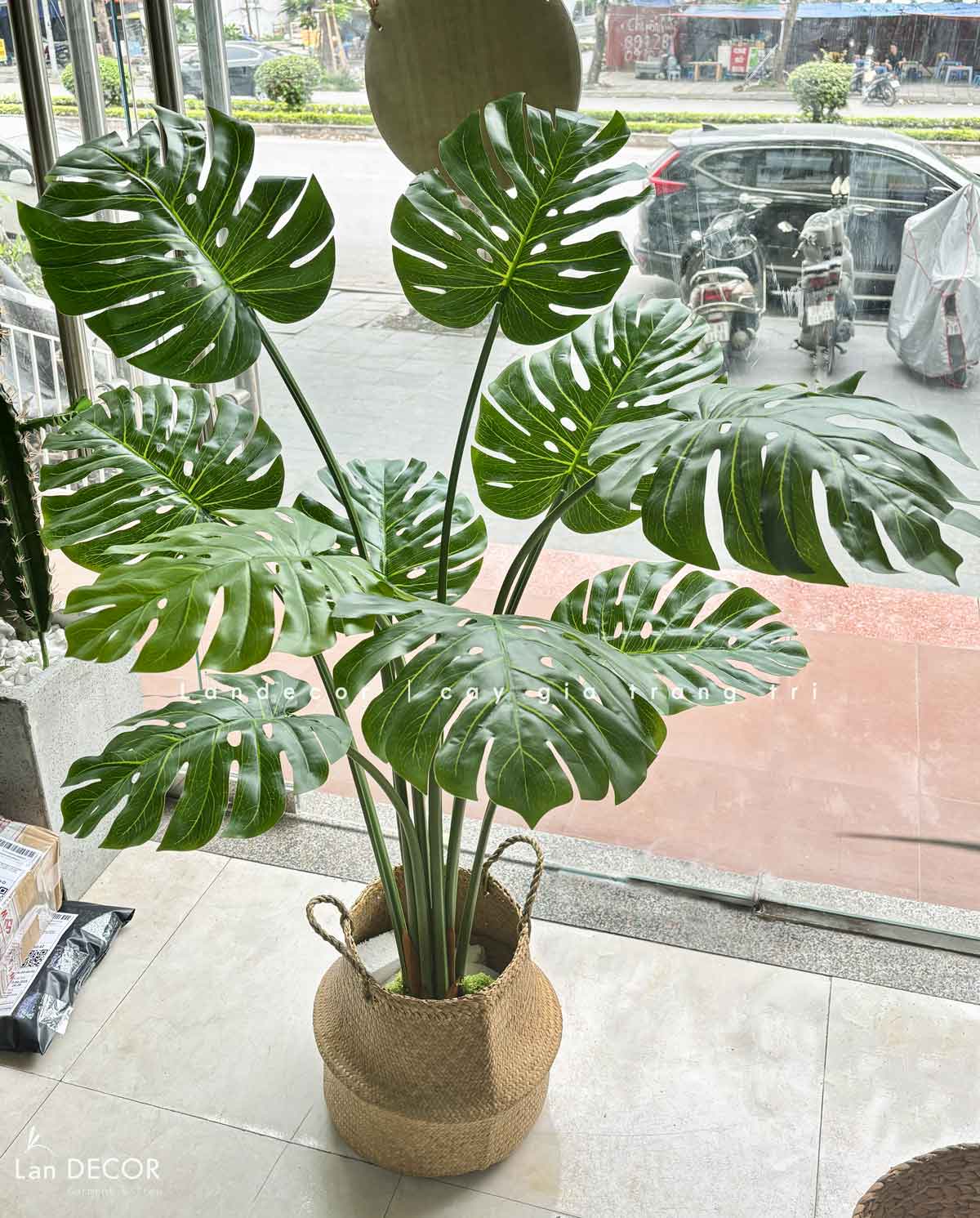 Cây lá xẻ cây monstera trang trí không gian hiện đại (120cm) - LC3024