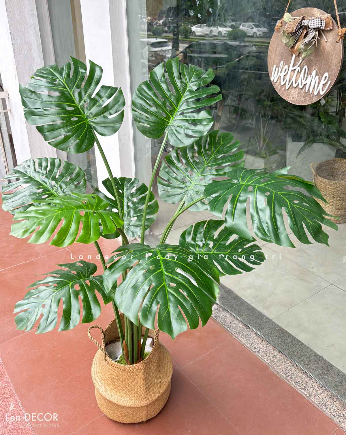 Cây lá xẻ cây monstera trang trí không gian hiện đại (120cm) - LC3024