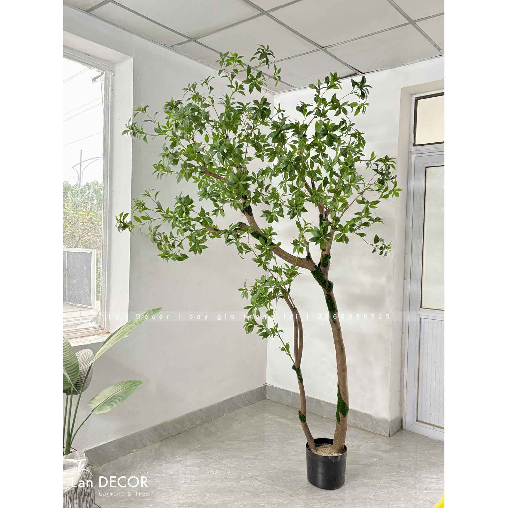 Cây Giả Thiết Kế- Cây Linh Sơn Thiết Kế Tiểu Cảnh Ấn Tượng - CC1005