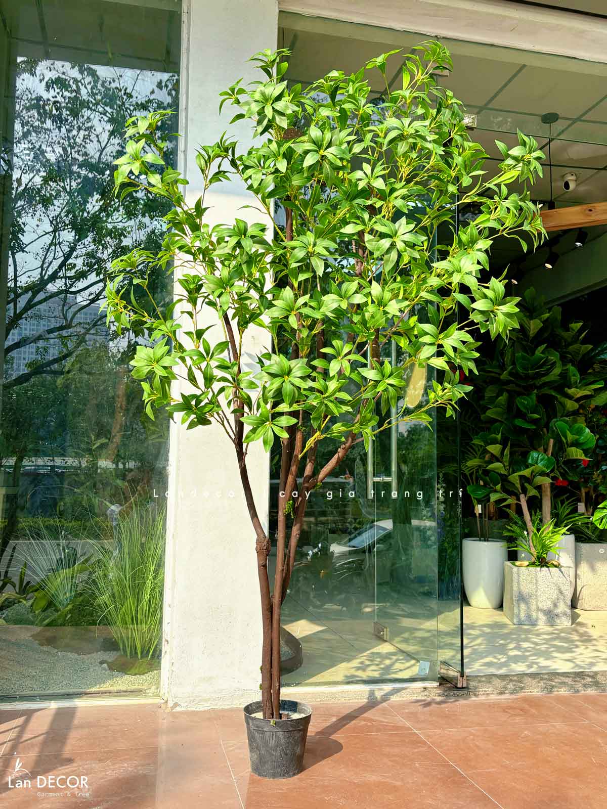 Cây Size Lớn Thiết Kế- Cây Linh Sơn Giả Trưng Bày Không Gian Xanh (200cm)- CC1251