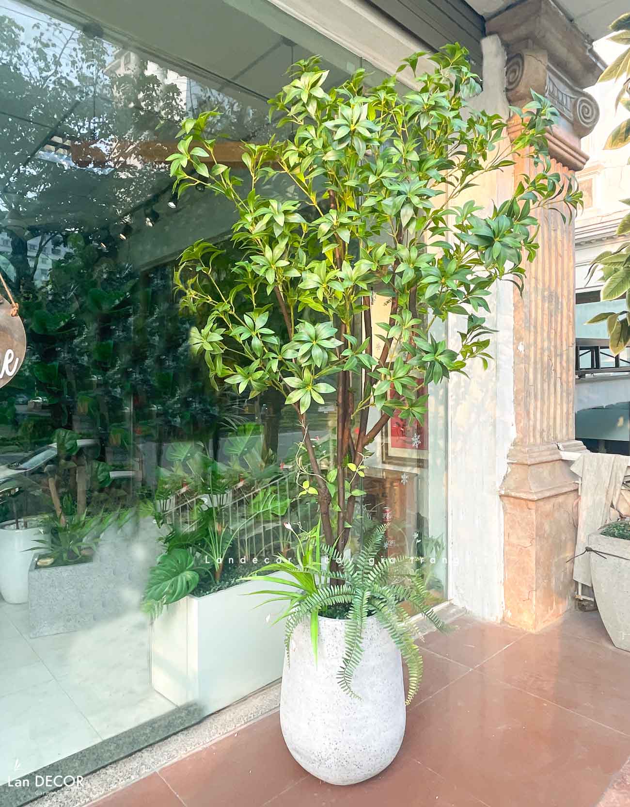 Cây Size Lớn Thiết Kế- Cây Linh Sơn Giả Trưng Bày Không Gian Xanh (200cm)- CC1251