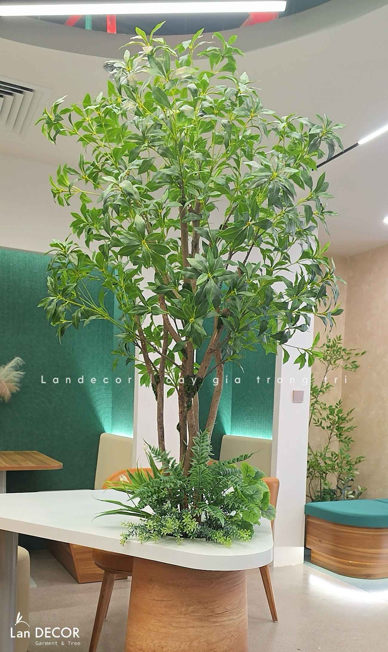 Thiết Kế, Thi Công Tiểu Cảnh Cây Giả, Kiến Tạo Không Gian Xanh Độc Đáo - CT Văn Phòng Hồ Tùng Mậu