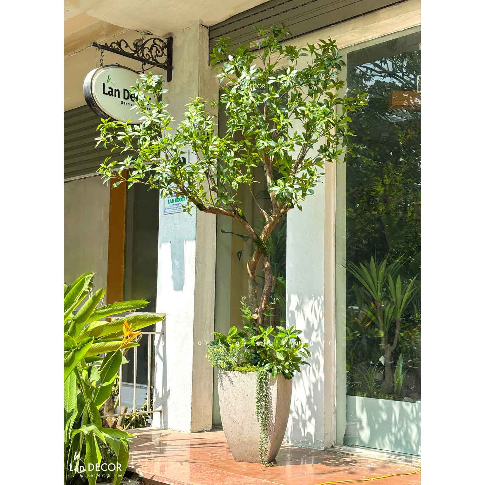 Cây Thân Gỗ Giả Thiết Kế- Cây Linh Sơn Tiểu Cảnh Thiết Kế Không Gian Đẹp- CC1166