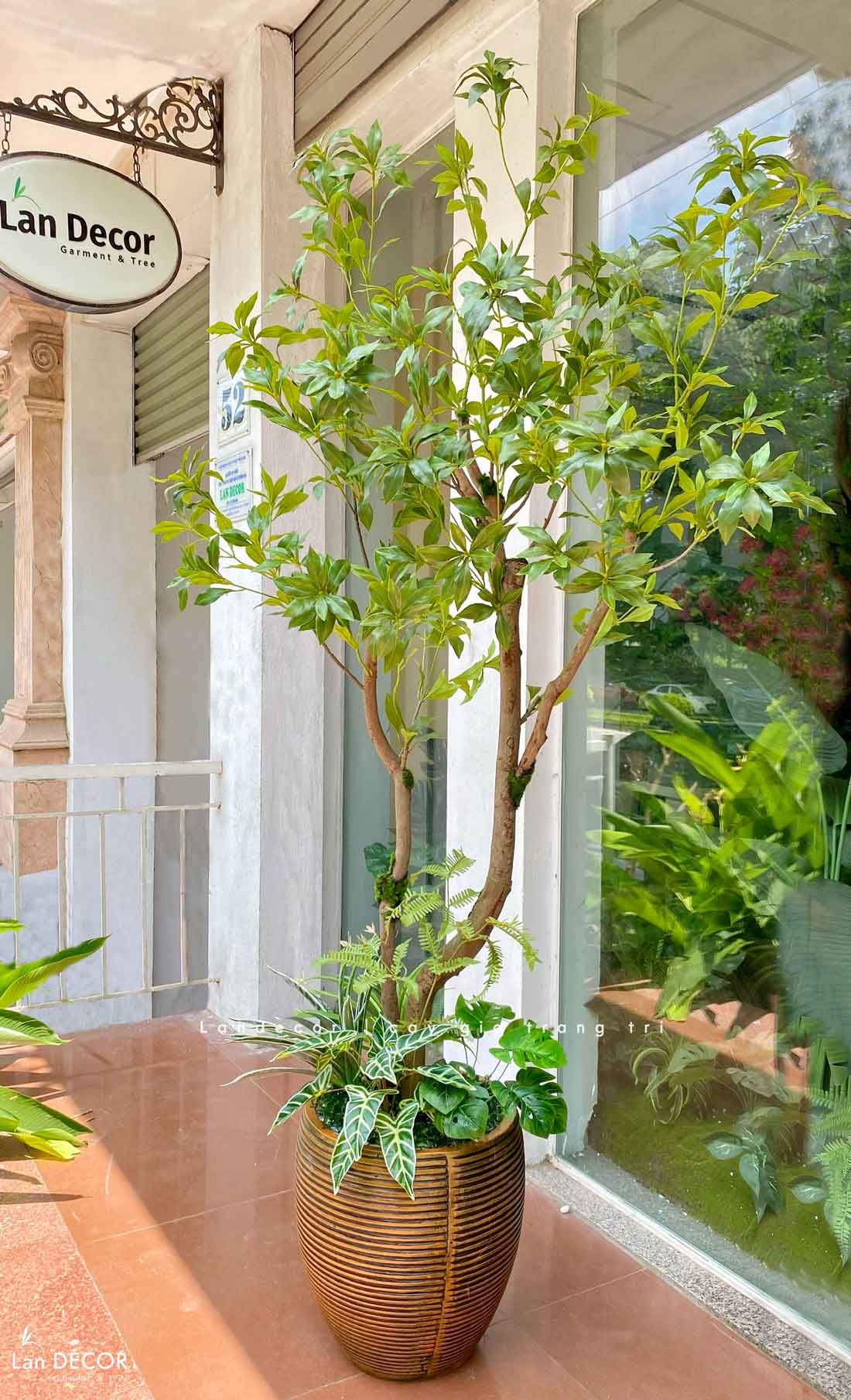 Cây Linh Sơn Trang Trí Không Gian Xanh Mát (180cm)- CC1039