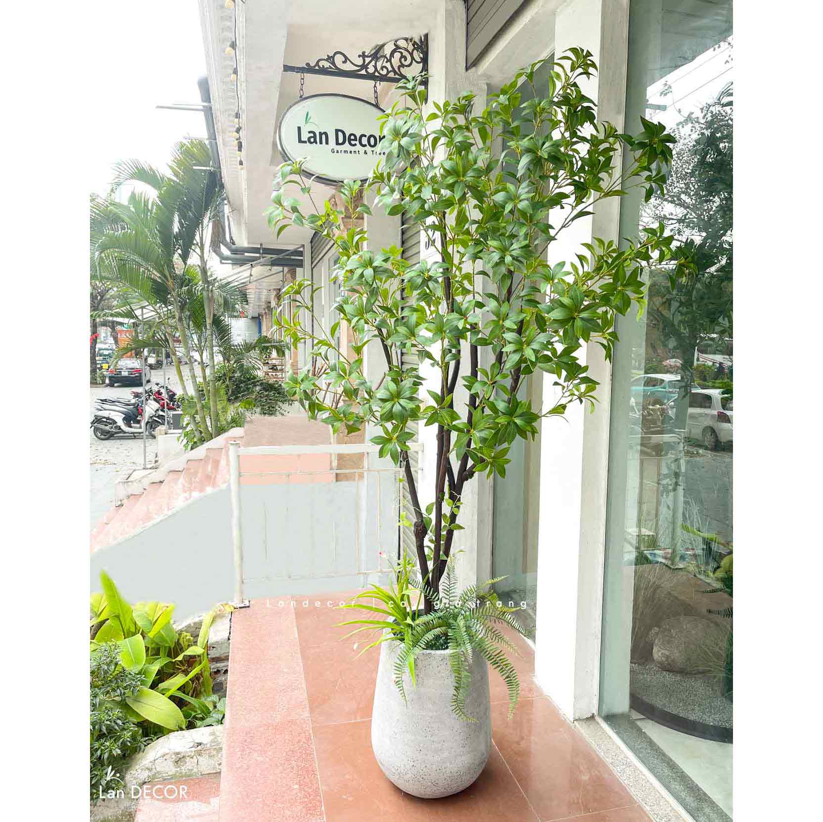 Cây Size Lớn Thiết Kế- Cây Linh Sơn Giả Trưng Bày Không Gian Xanh (200cm)- CC1251