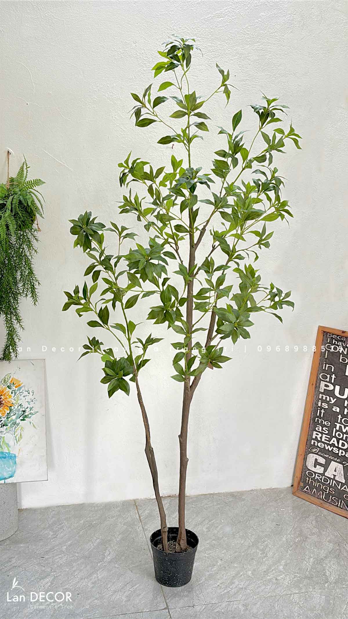 CÂY LINH SƠN THIẾT KẾ LAN DECOR (180cm)- CC836