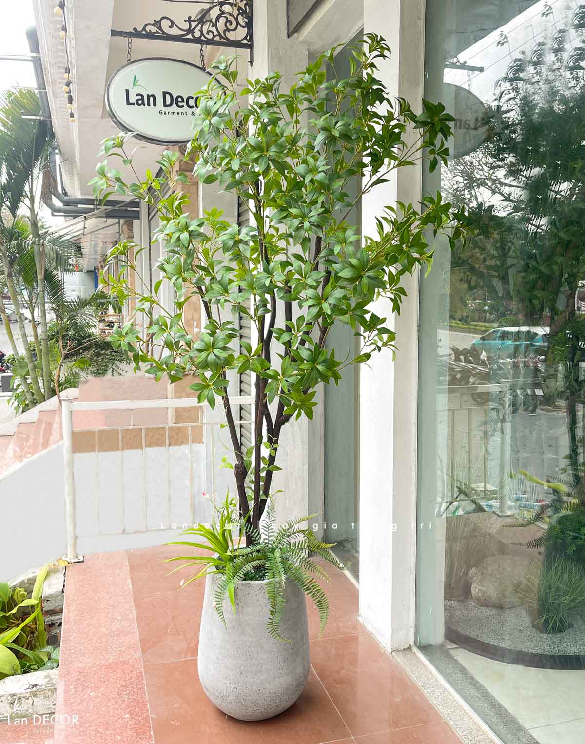 Cây Size Lớn Thiết Kế- Cây Linh Sơn Giả Trưng Bày Không Gian Xanh (200cm)- CC1251
