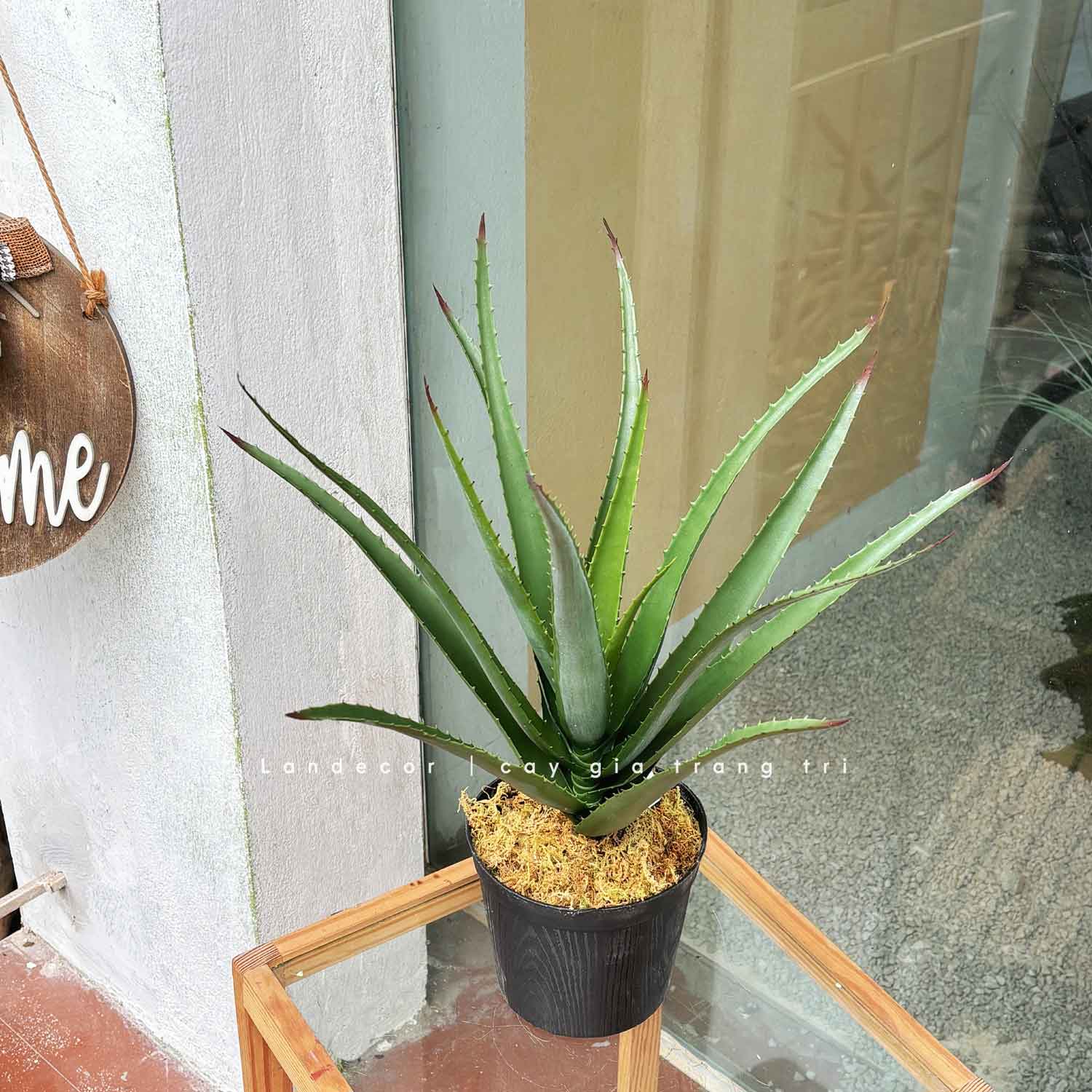 Cây Giả- Cây Yucca Giả Decor Bồn Rêu, Chậu Cây Tiểu Cảnh (16 lá, 45cm)- LC3463