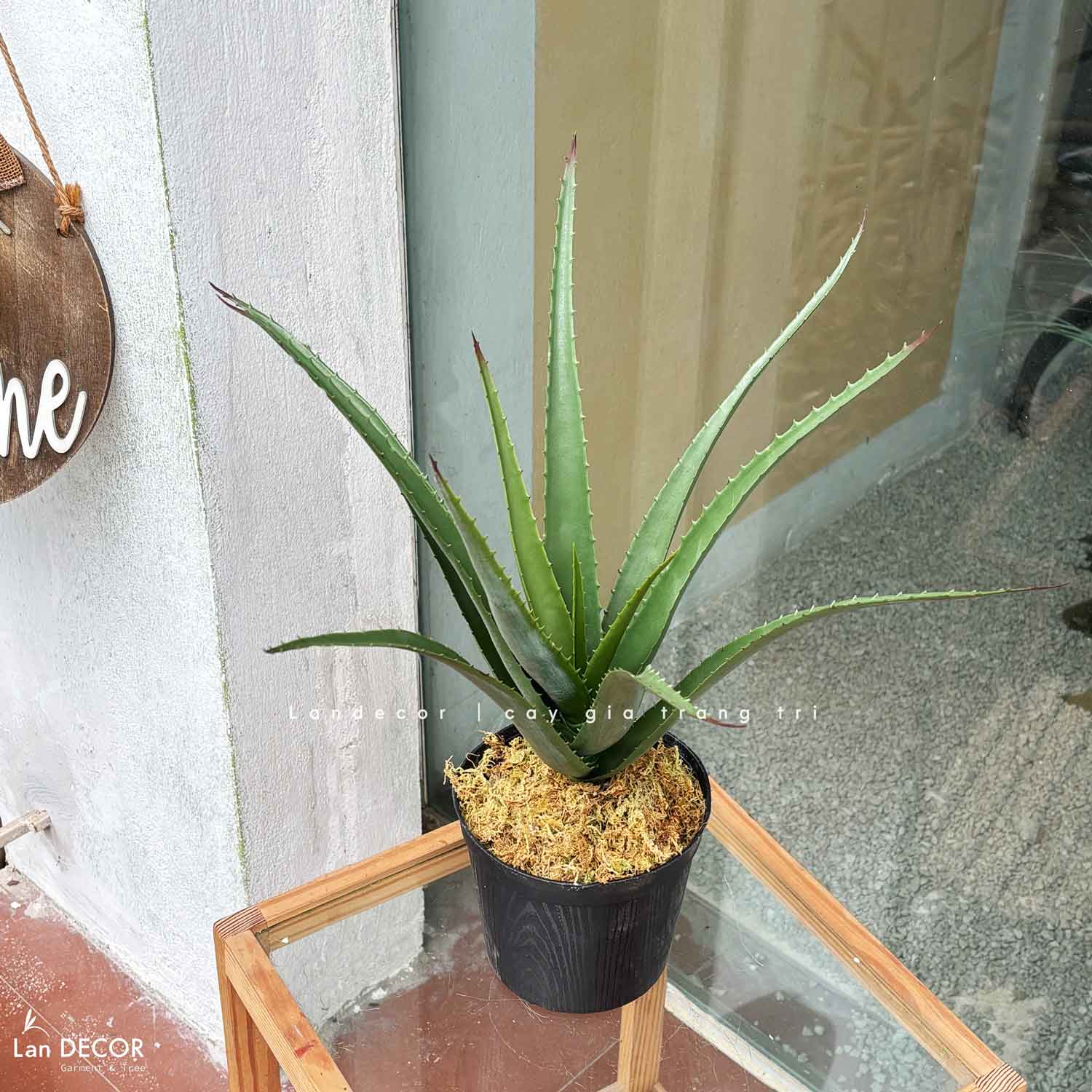 Cây Giả Decor- Cây Yucca Giả Thiết Kế Tiểu Cảnh Độc Đáo (12 lá, 45cm)-LC3464