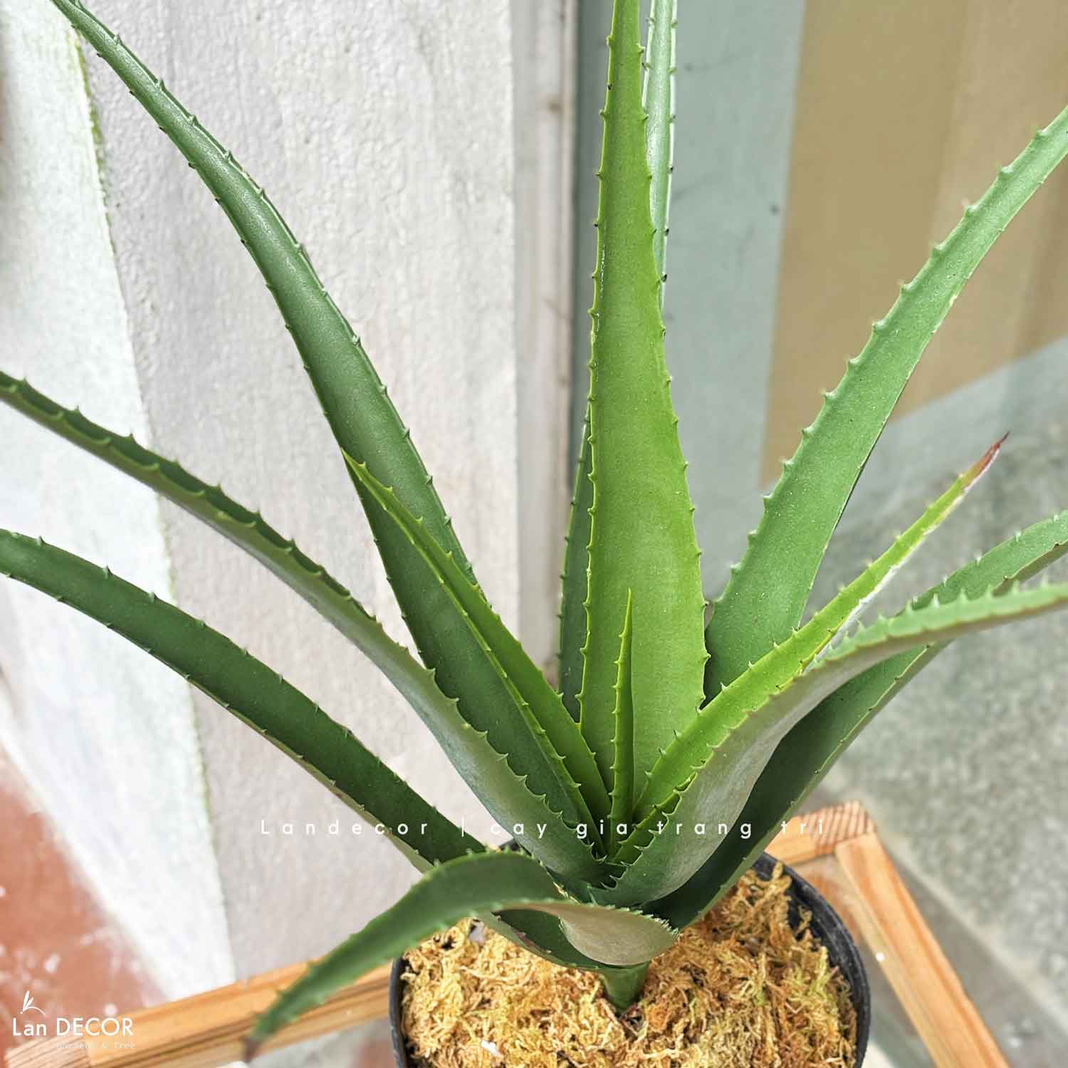 Cây Giả Decor- Cây Yucca Giả Thiết Kế Tiểu Cảnh Độc Đáo (12 lá, 45cm)-LC3464