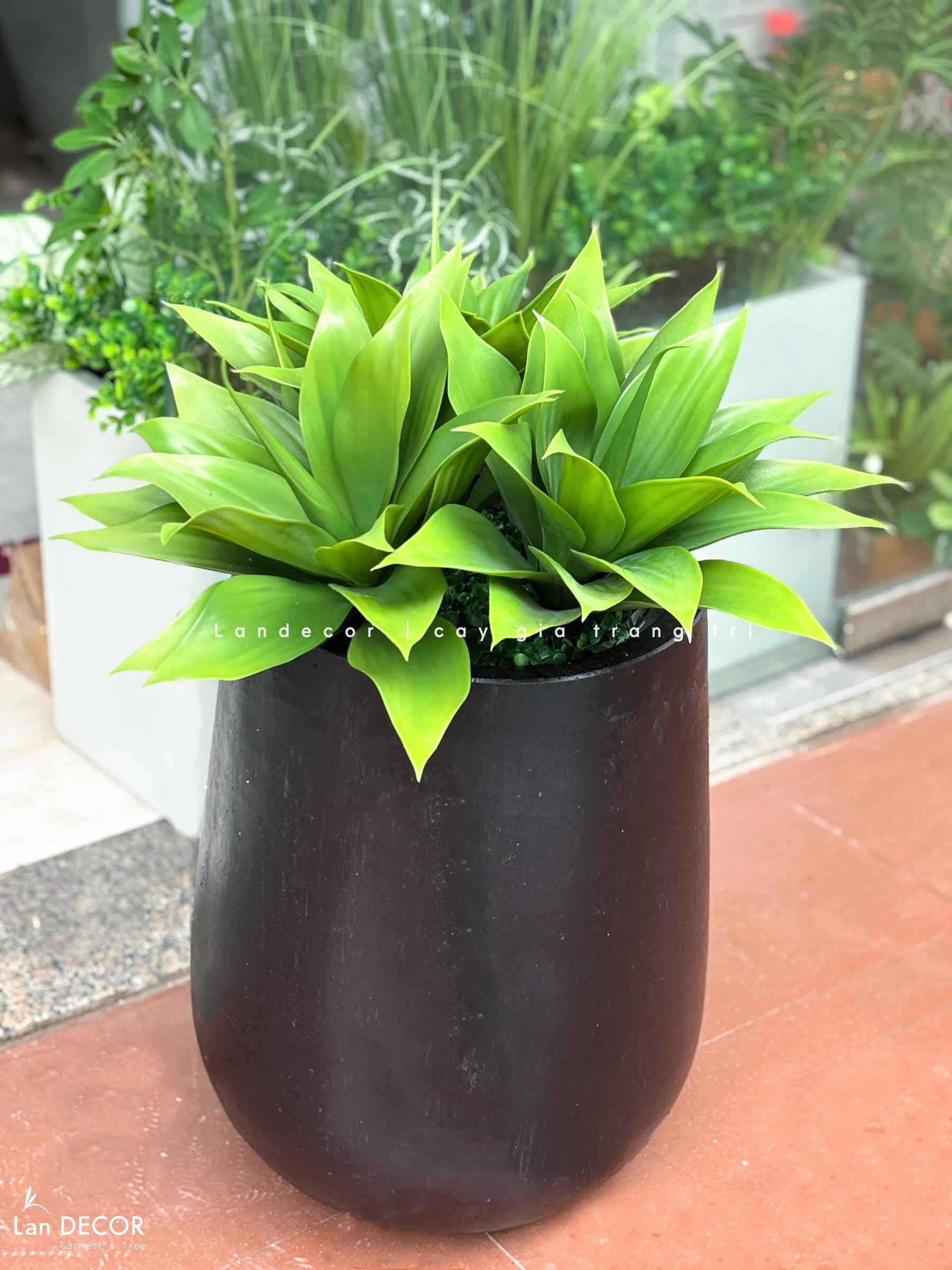 Tiểu Cảnh Cây Giả- Chậu Cây Lô Hội Giả Thiết Kế Cửa Hiệu (cao 70-105cm, tán 60cm)- CC1130