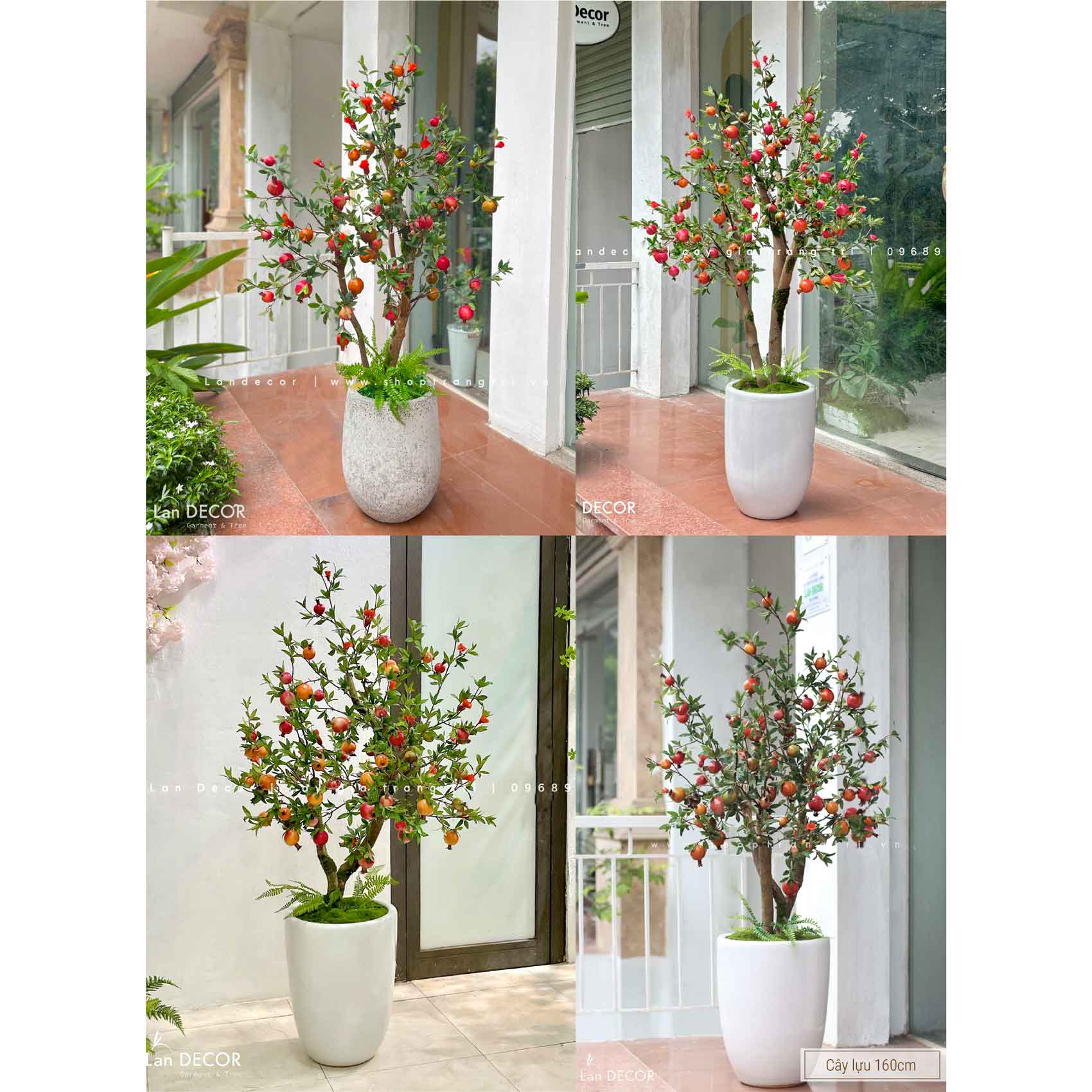 Cây Lựu Giả- Chậu Cây Lựu cao 160cm Trang Trí Không Gian Ấn Tượng
