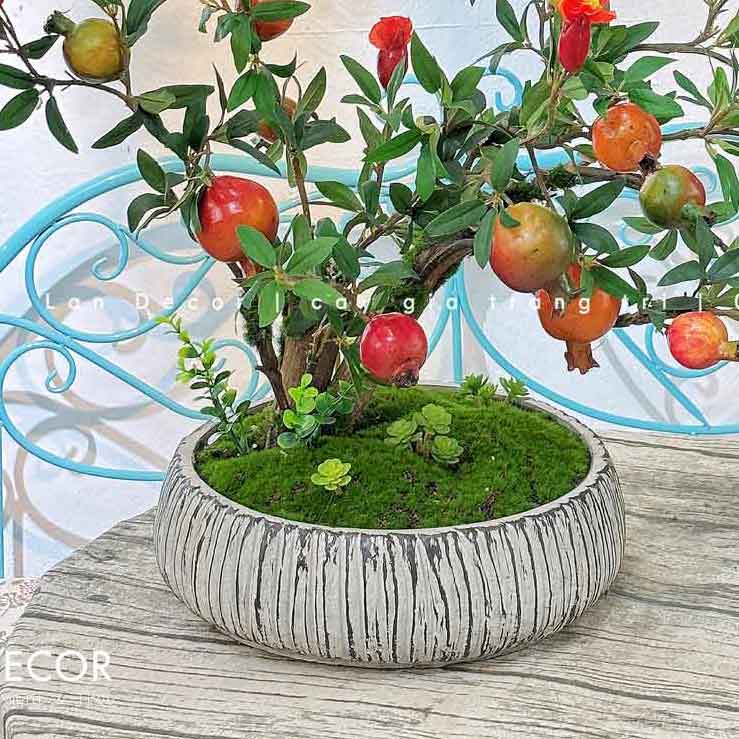 Chậu Xi Măng Trồng Cây Bonsai Thiết Kế Không Gian - CXM036