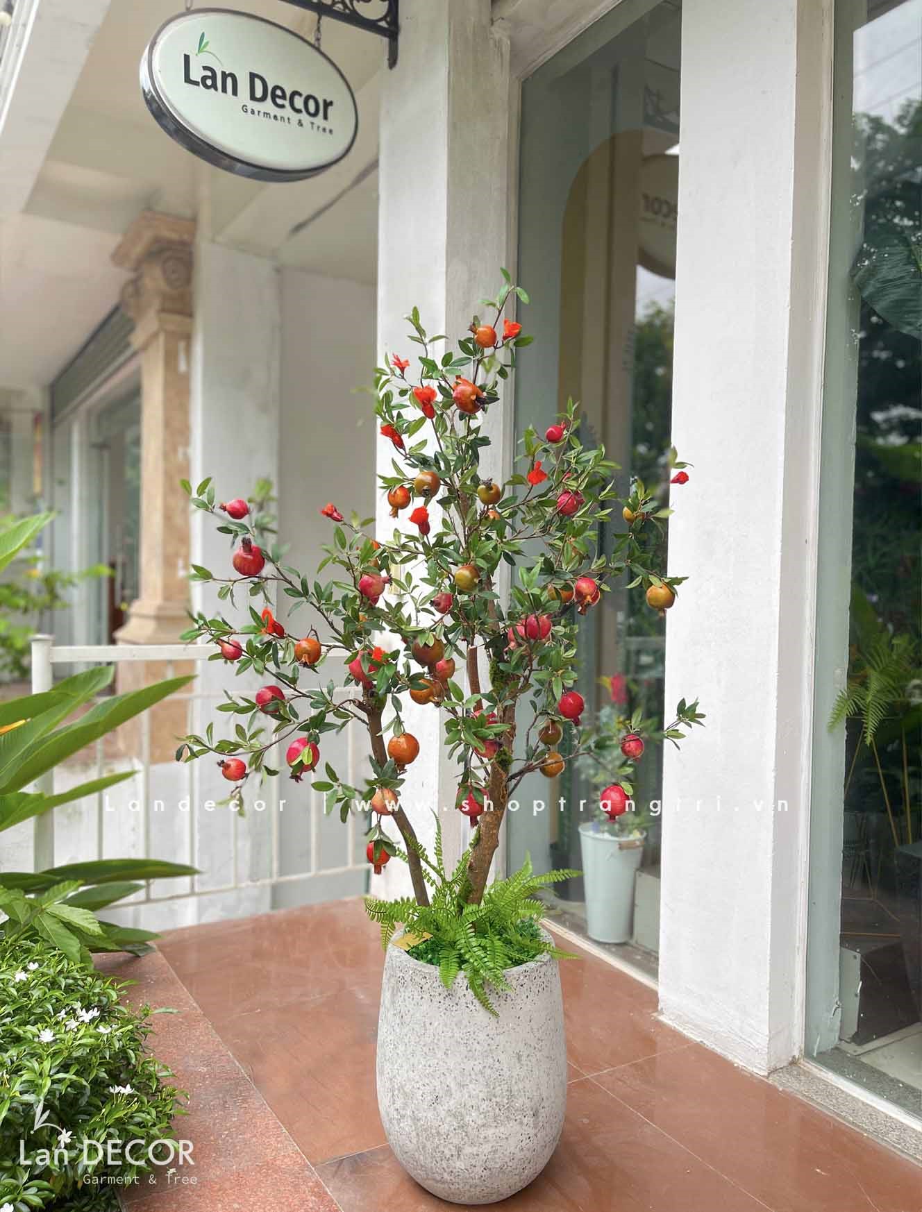 Cây Lựu Giả- Chậu Cây Lựu cao 160cm Trang Trí Không Gian Ấn Tượng