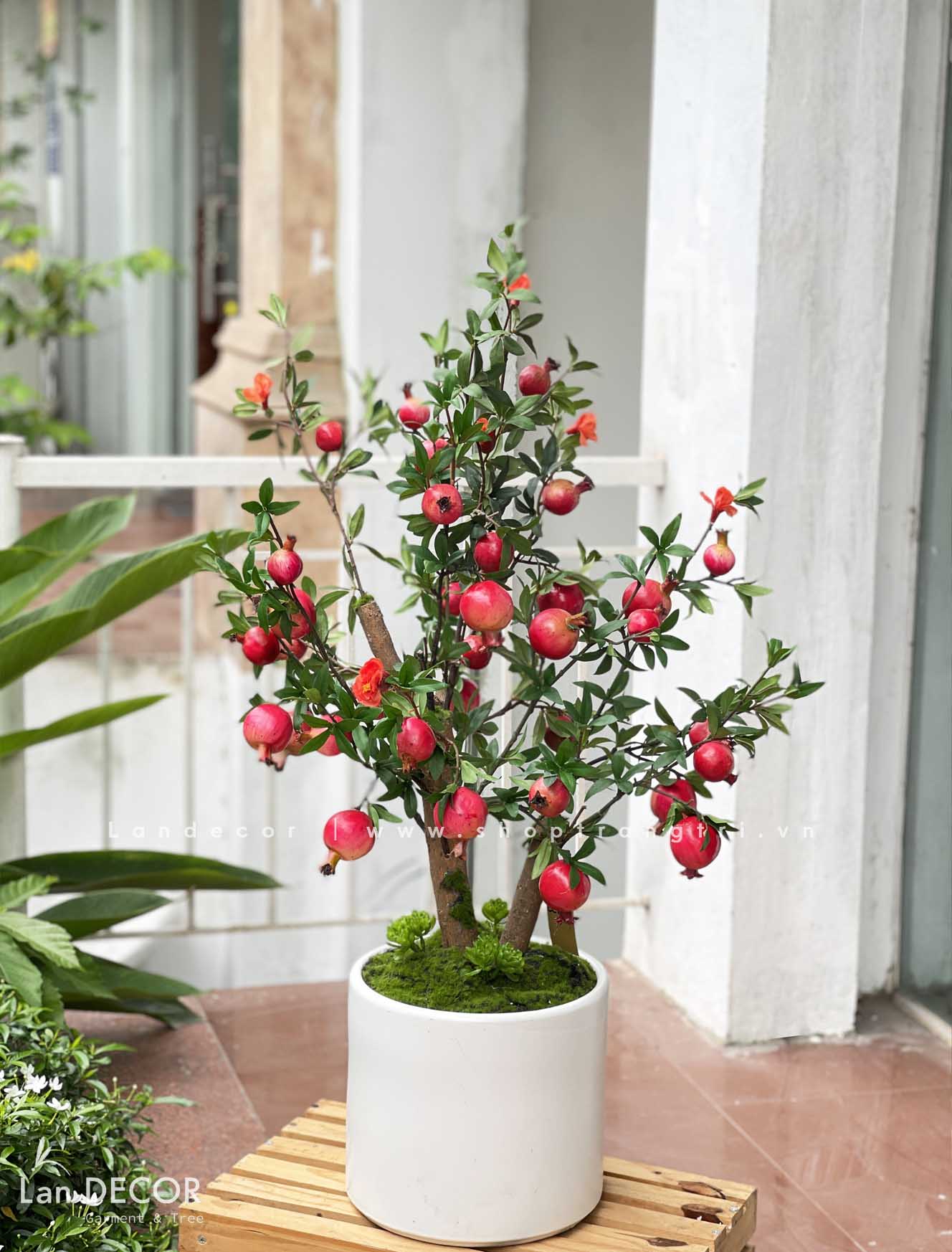 CHẬU CÂY LỰU GIẢ TRANG TRÍ TIỂU CẢNH- CC683