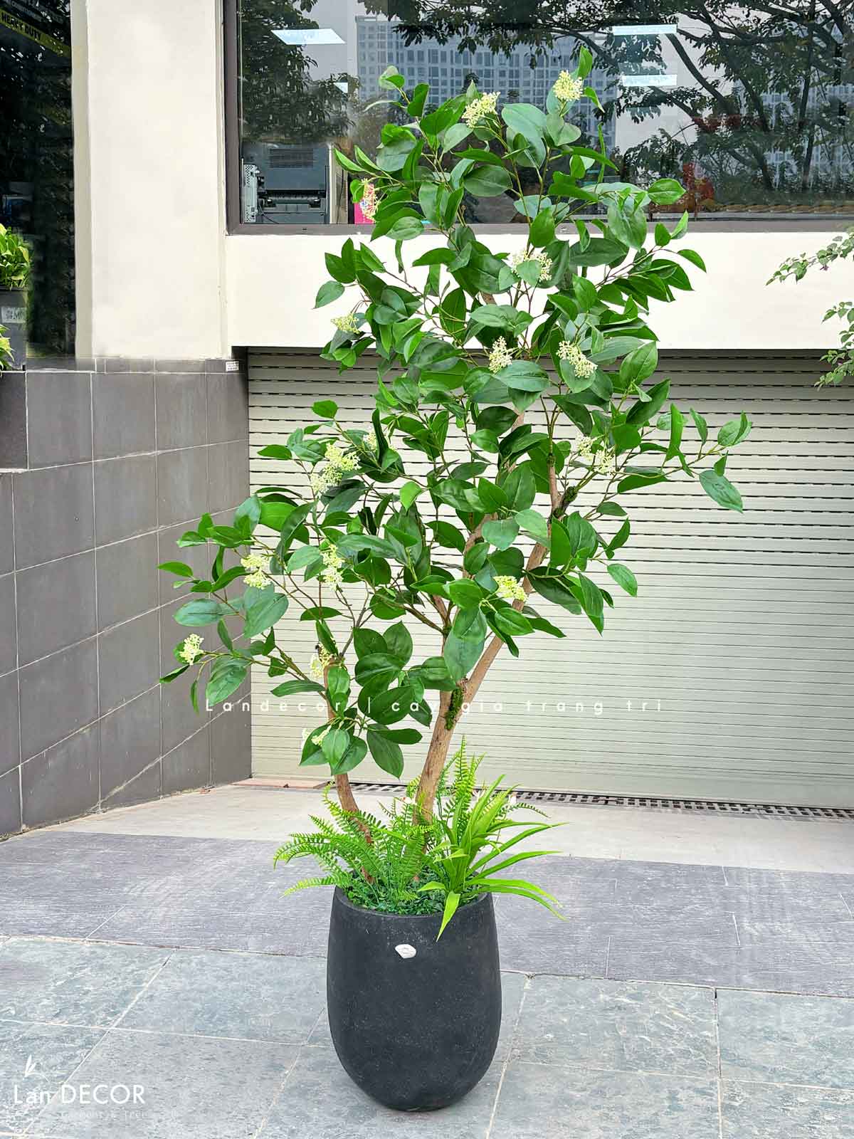 CÂY LÁ XANH MỘC TRANG TRÍ KHÔNG GIAN TẠO CẢNH QUAN XANH MÁT CAO 180CM - CC811