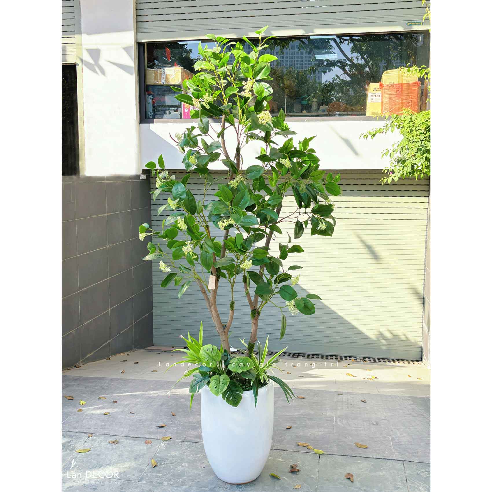 CÂY LÁ MỘC TRANG TRÍ NHÀ TẠO CẢNH QUAN XANH MÁT CAO 180CM - CC812