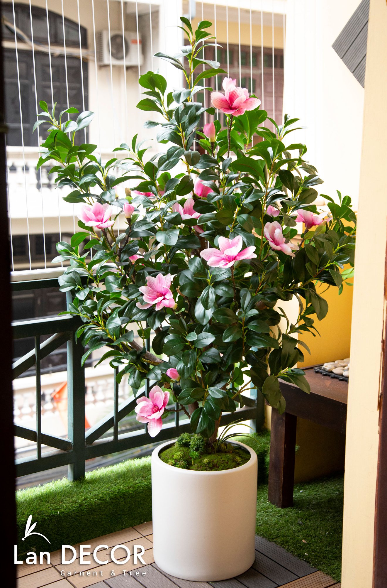 Chậu hoa mộc lan trang trí không gian hiện đại sang trọng (1,5m) - CG008