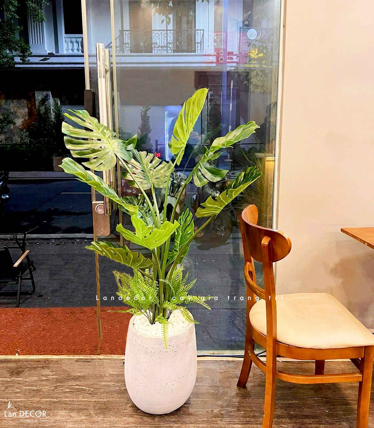 Cây lá xẻ cây monstera trang trí không gian hiện đại (120cm) - LC3024