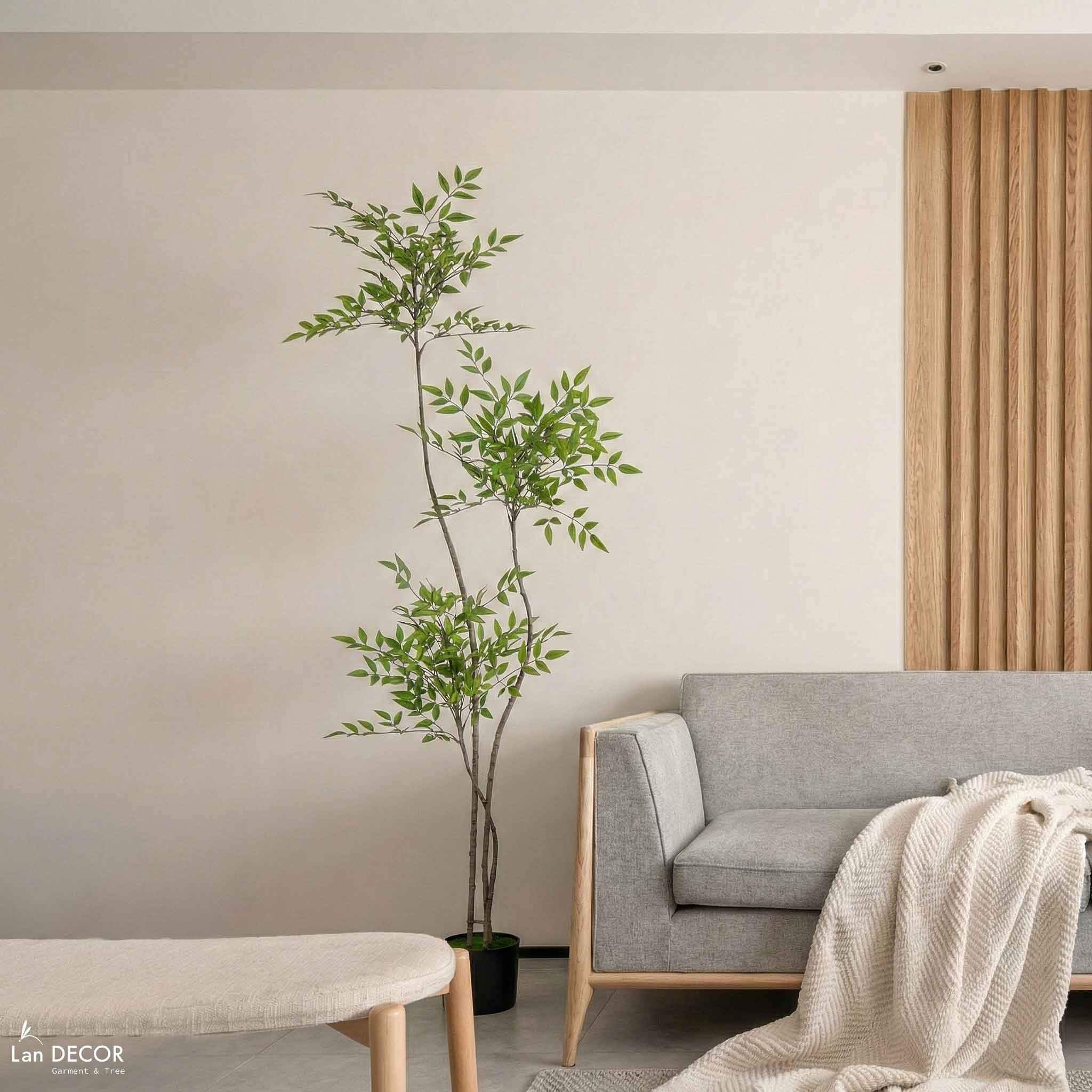 Nam Thiên Trúc Giả- Cây Nam Thiên Trúc Giả Thiết Không Gian Tinh Tế (150cm)- LC3047-3 thân