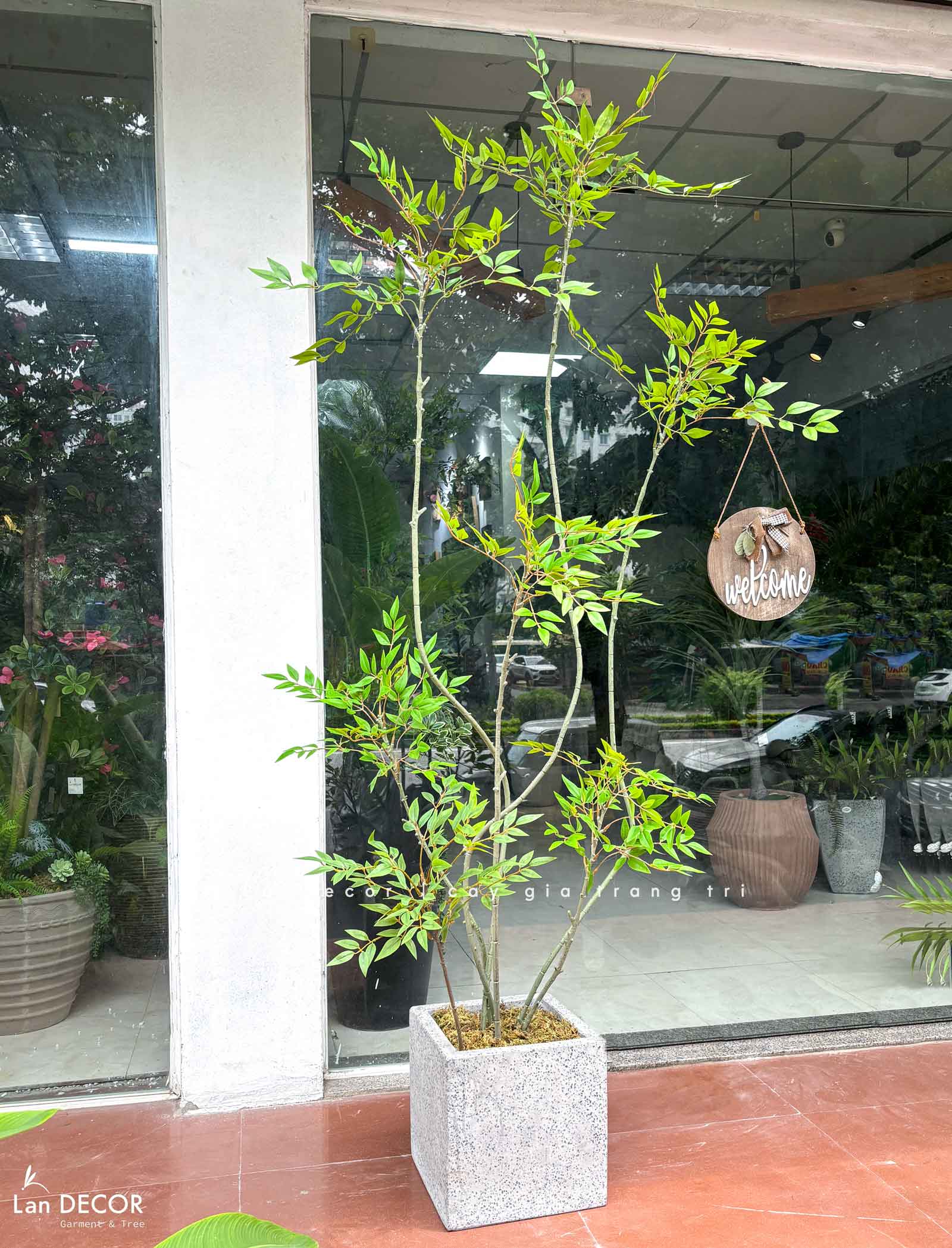 Nam Thiên Trúc Decor- Cây Nam Thiên Trúc Giả 6 Nhánh Decor Nội Thất Hiện Đại (210cm)- LC3047-6