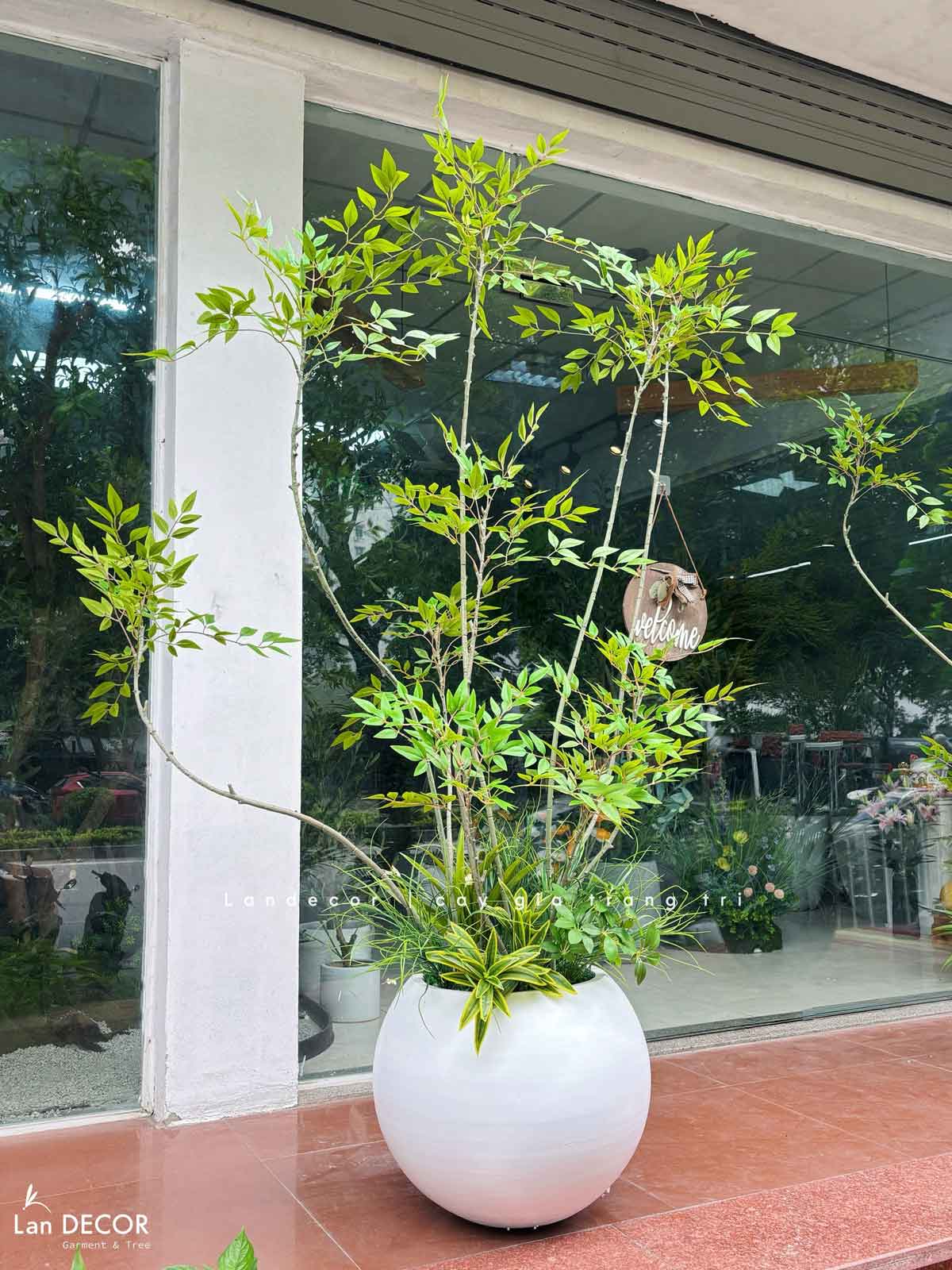 Chậu Xi Măng Tròn Trắng Trồng Cây Thiết Kế Hiện Đại (37x45cm)- CXM048