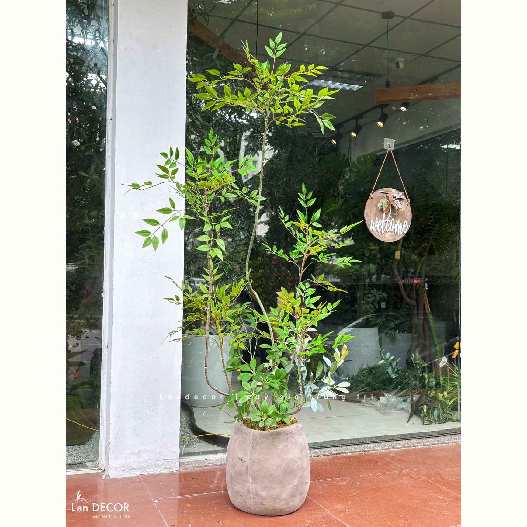 Nam Thiên Trúc Decor- Cây Nam Thiên Trúc Giả Trang Trí Nhà Đẹp (150cm)- LC3047-4 thân