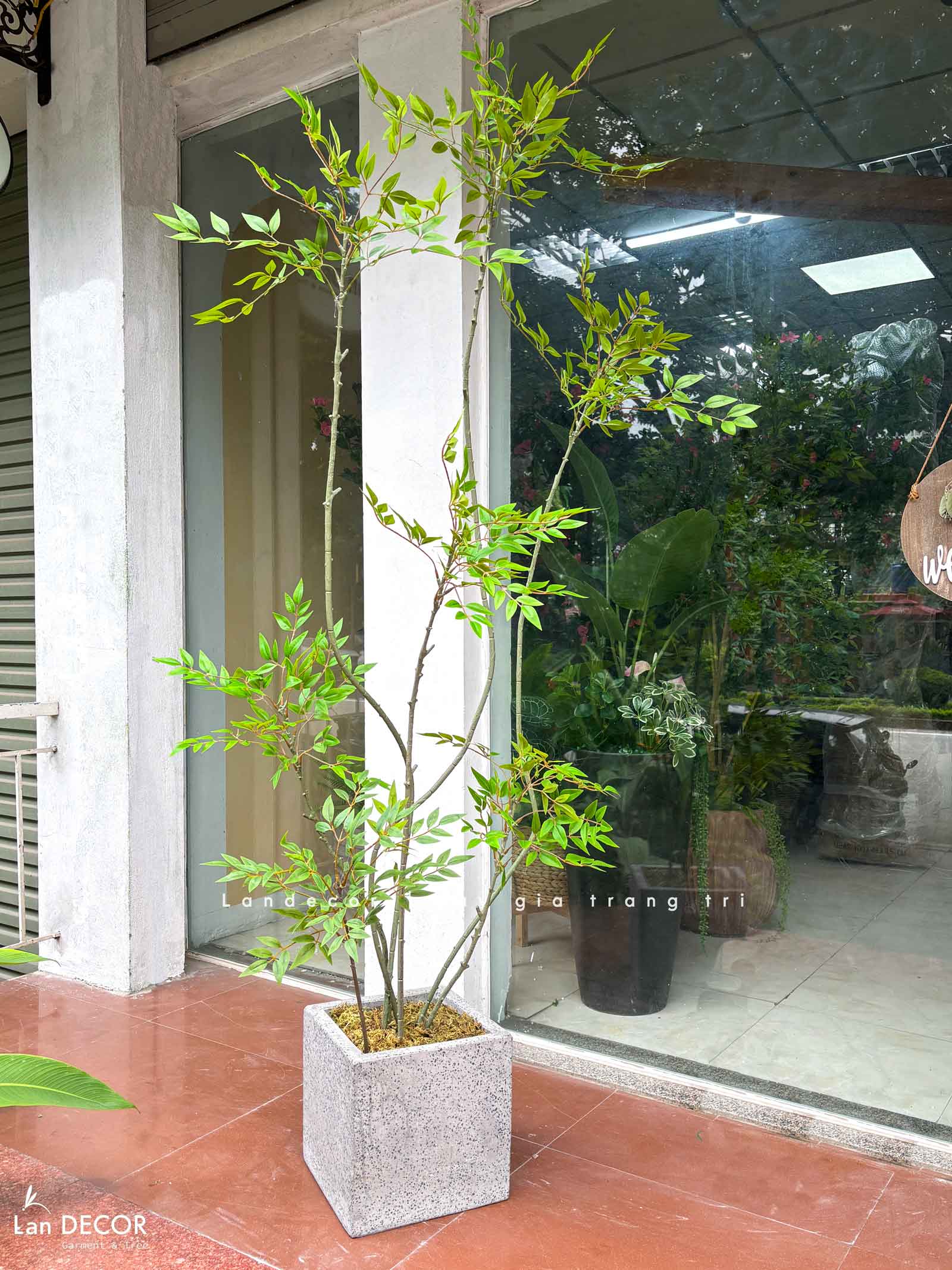 Nam Thiên Trúc Decor- Cây Nam Thiên Trúc Giả 6 Nhánh Decor Nội Thất Hiện Đại (210cm)- LC3047-6