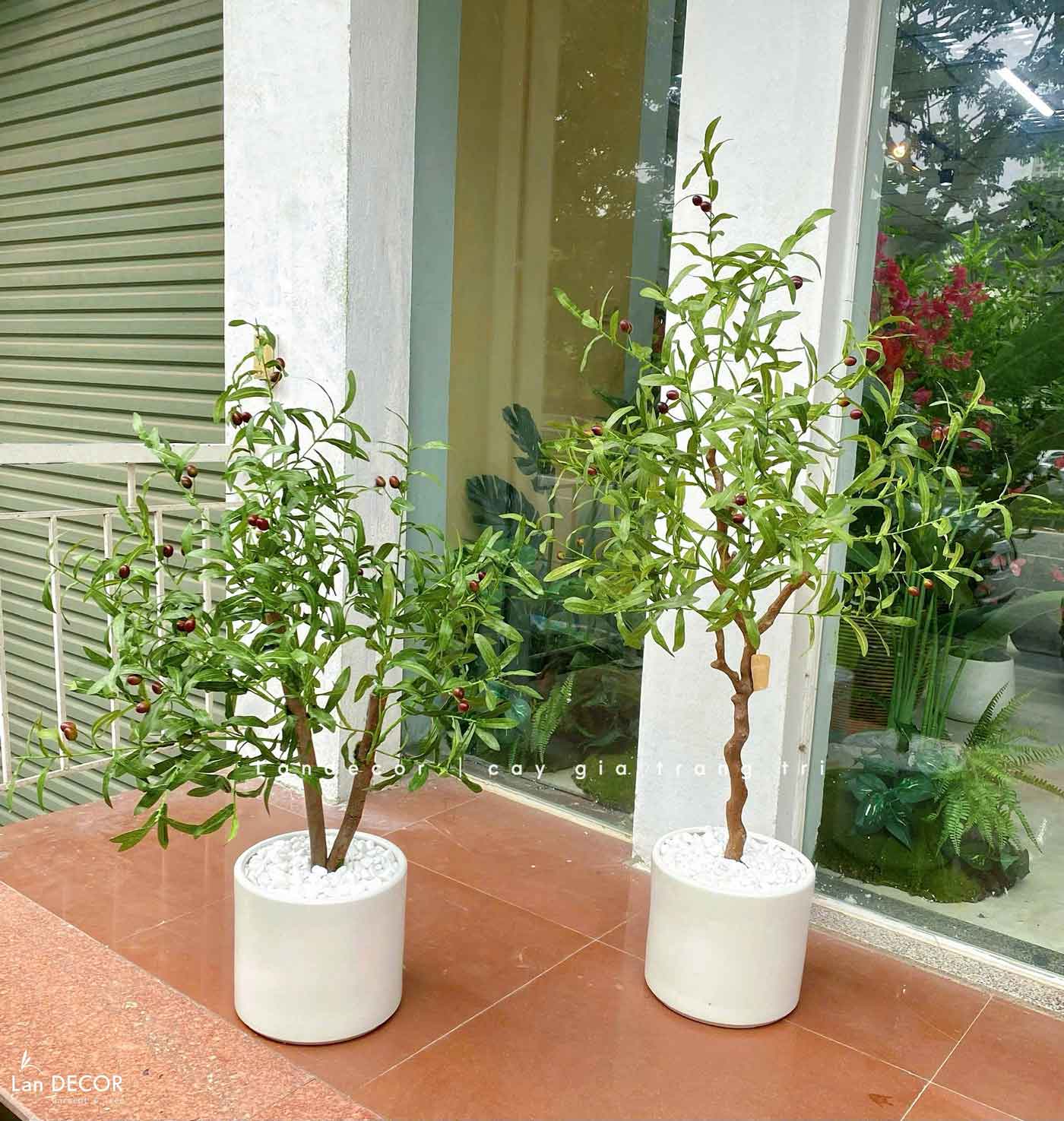 CÂY OLIU DECOR NỘI THẤT BỀN ĐẸP- CC702