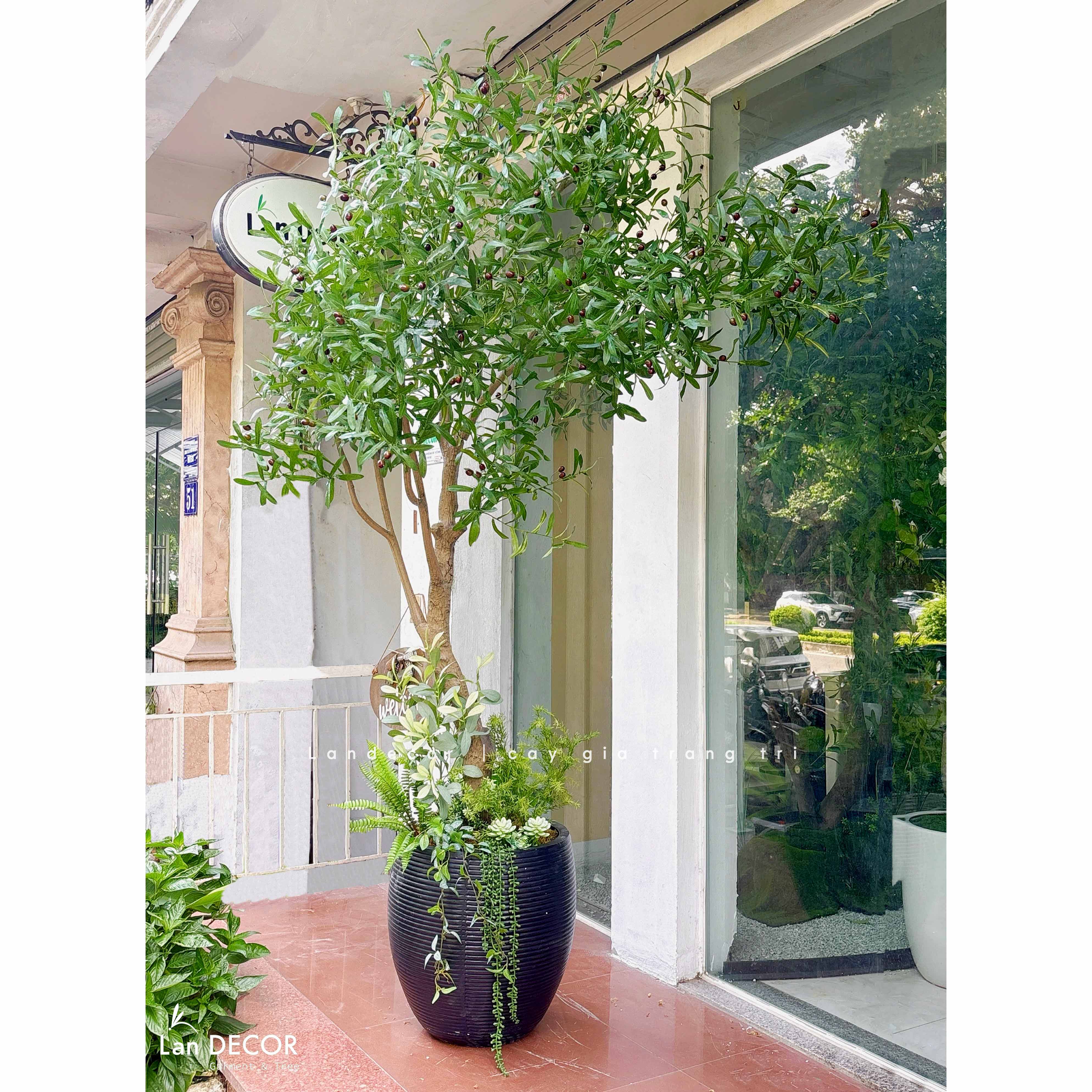 Cây Giả Thiết Kế- Cây Olive Giả Thiết Kế Tiểu Cảnh Xanh (230cm)- CC1357