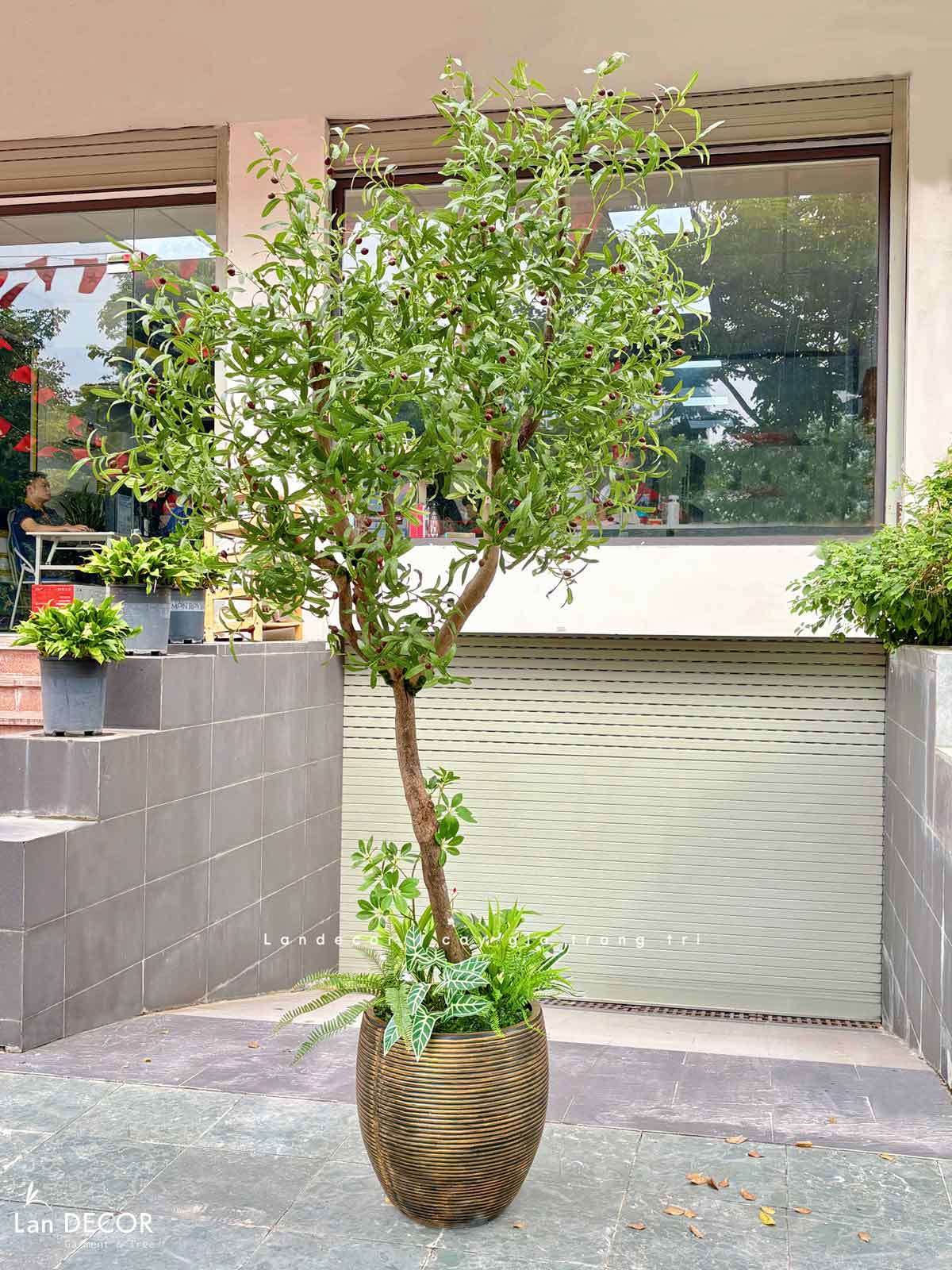 Cây Giả Thiết Kế- Cây Oliu Trang Trí Tiểu Cảnh Cho Không Gian Lớn, Nâng Cao Trải Nghiệm Khách Hàng (250cm)- CC1204