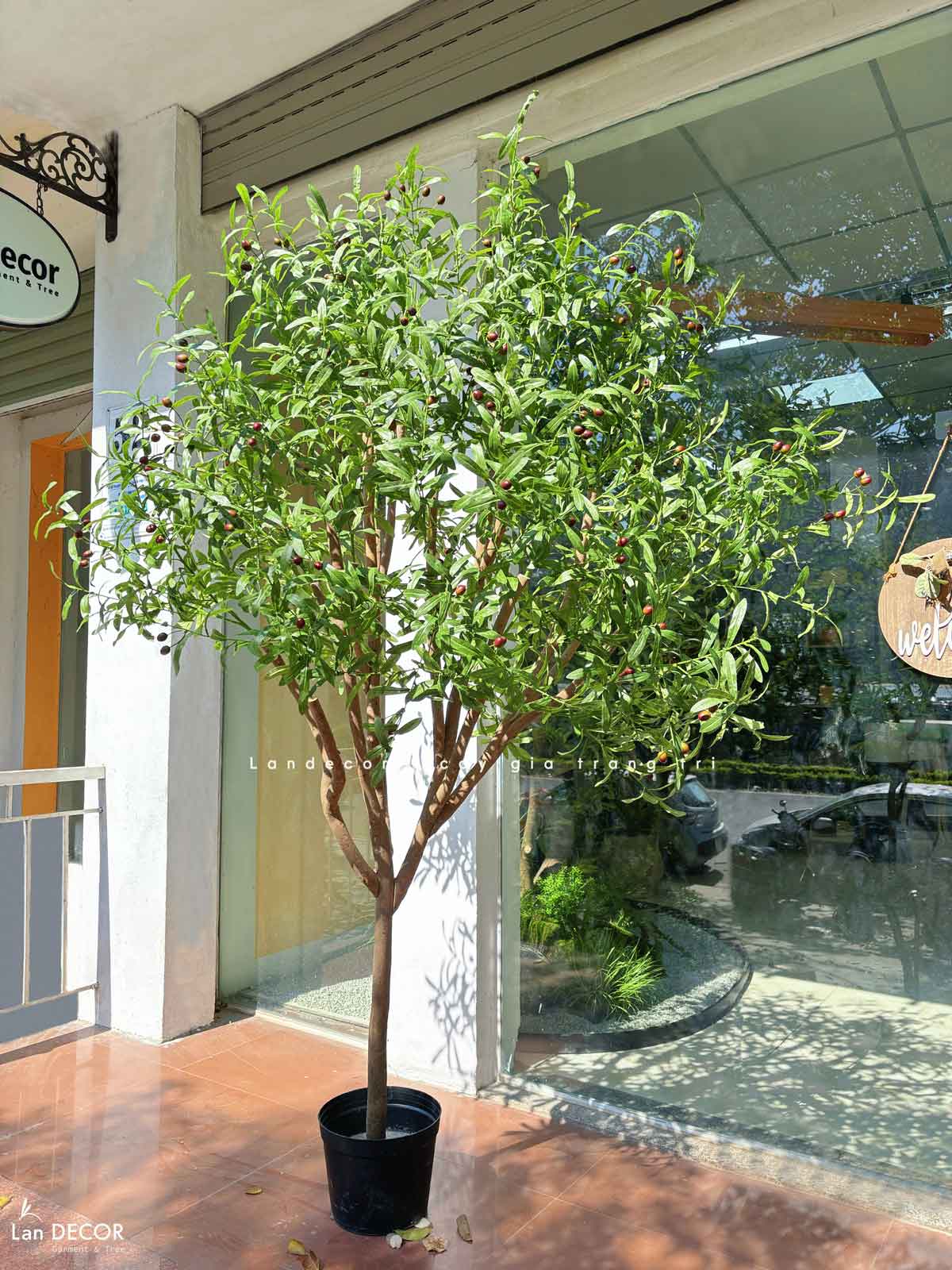 Cây Oliu Giả Thiết Kế - Cây Olive Giả Trang Trí Căn Hộ, Studio Hiện Đại, Tinh Tế (210cm)- CC1225