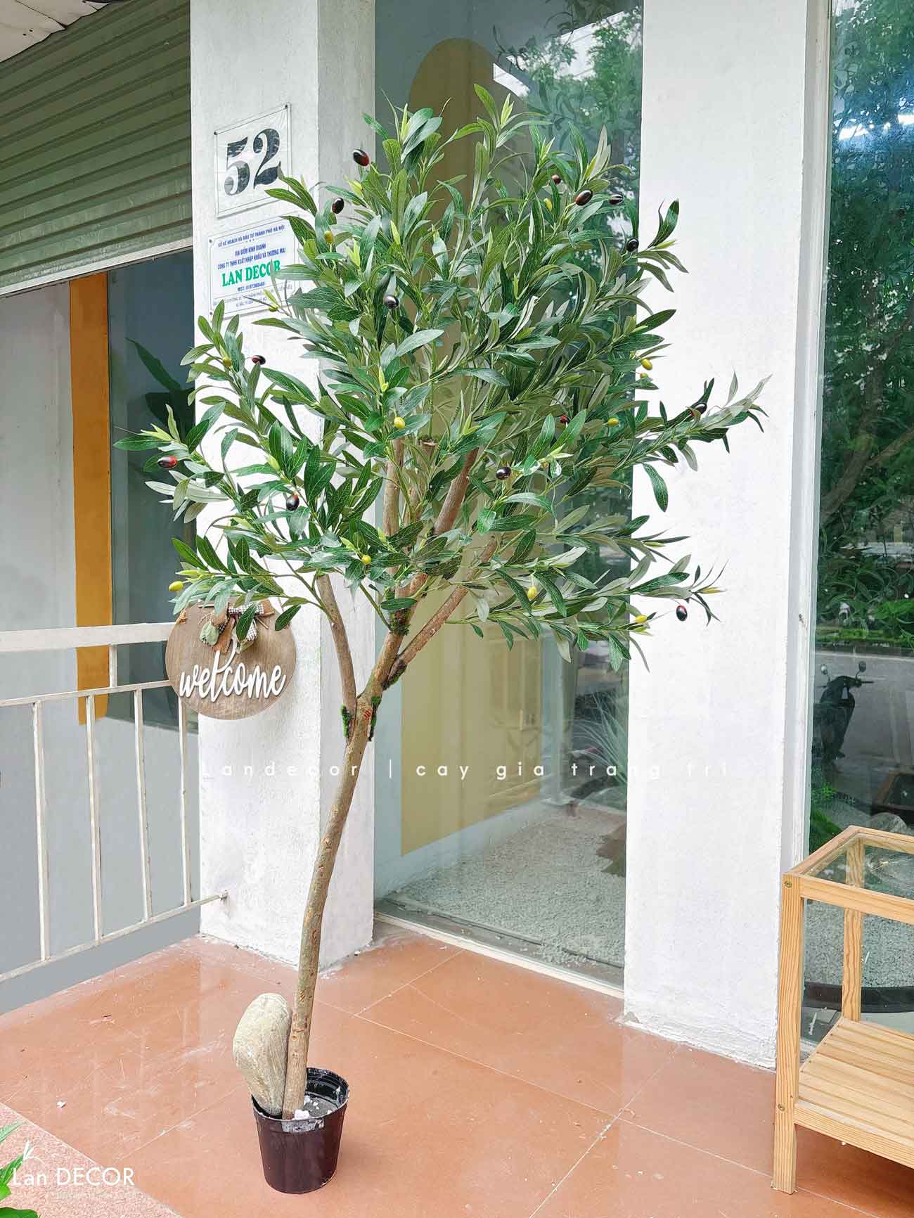 Cây Giả- Cây Olive Dáng Huyền Độc Đáo, Thiết Kế Tự Nhiên (140cm)- CC1293
