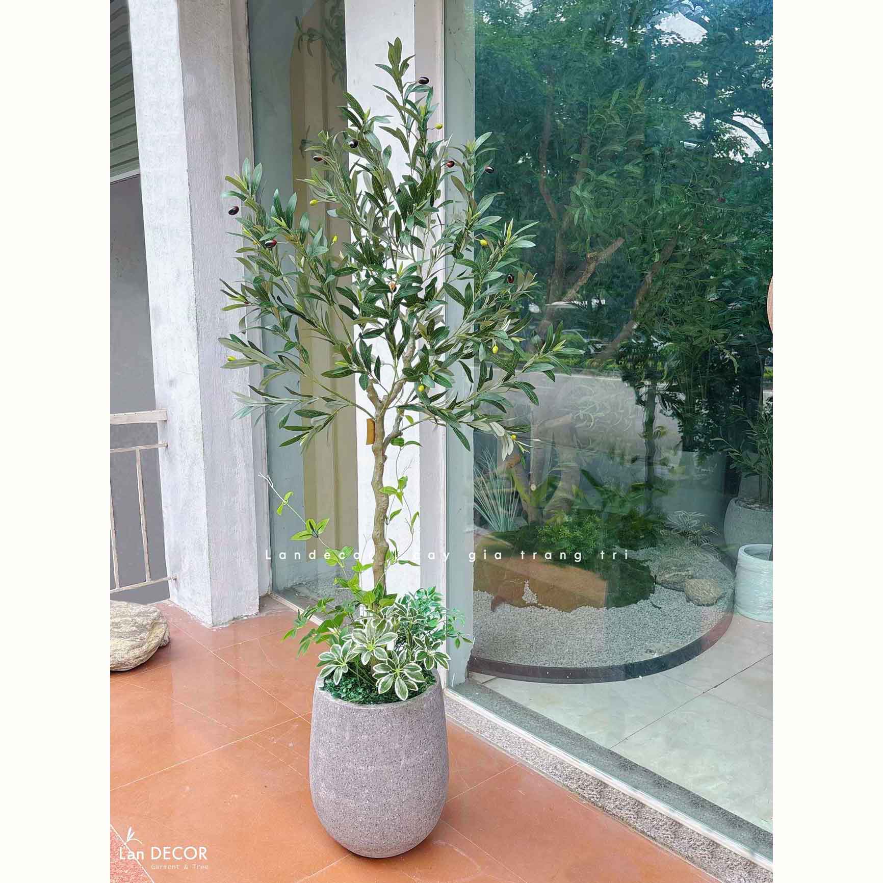 Cây Giả Decor- Cây Olive Giả Đẹp Tự Nhiên, Thiết Kế Nội Thất Phong Cách Bắc Âu (160cm)- CC1299