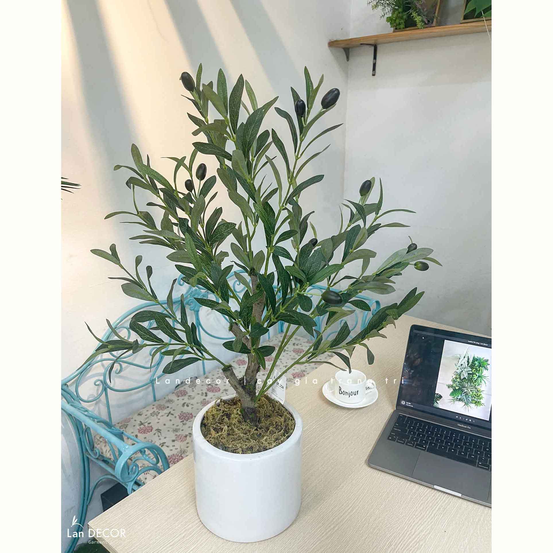 Cây Giả- Cây Olive Giả Để Bàn Trang Trí Văn Phòng Xanh (70cm)- CC1304