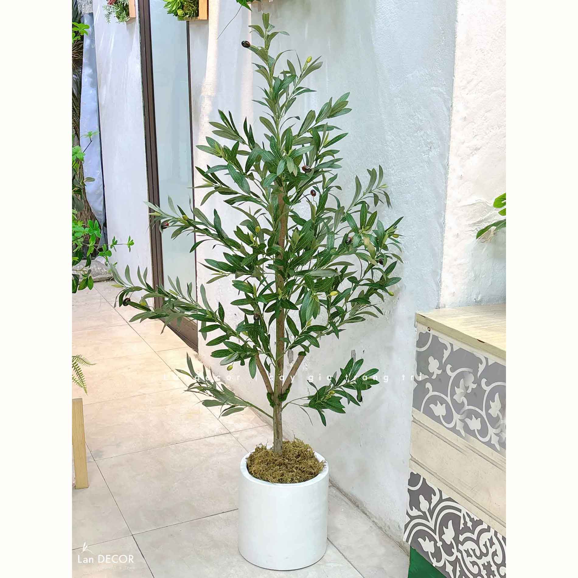 Cây Xanh Giả- Cây Olive Giả Decor Không Gian Tối Giản (150cm)- CC1288