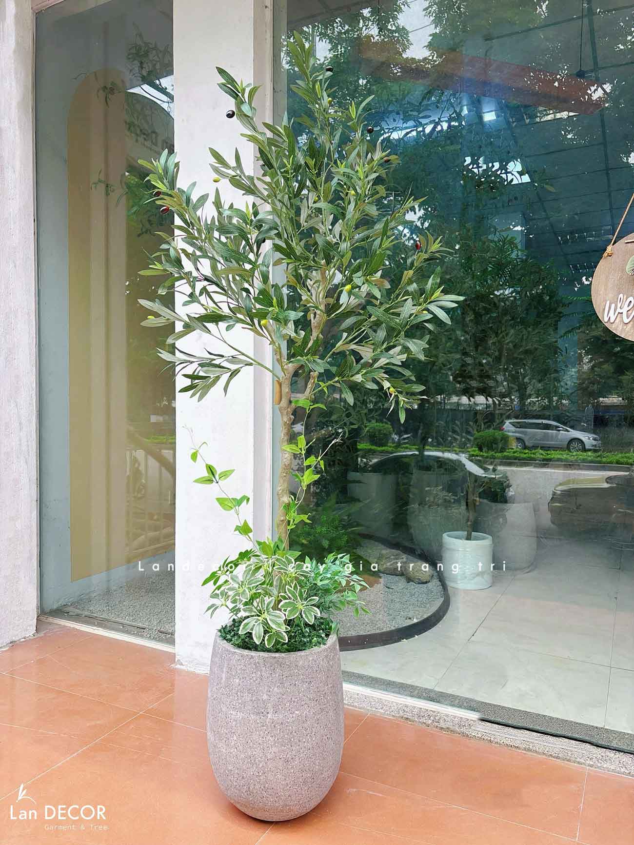 Cây Giả Decor- Cây Olive Giả Đẹp Tự Nhiên, Thiết Kế Nội Thất Phong Cách Bắc Âu (160cm)- CC1299
