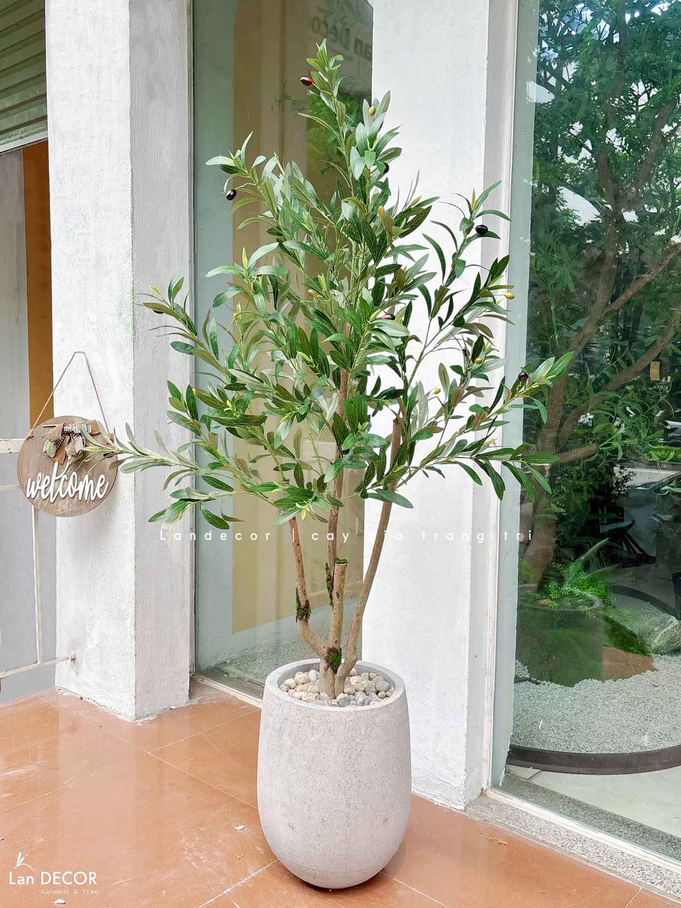 Cây Giả- Cây Olive Giả Decor Văn Phòng, Thiết Kế Tiểu Cảnh Hiện Đại (140cm)- CC1292