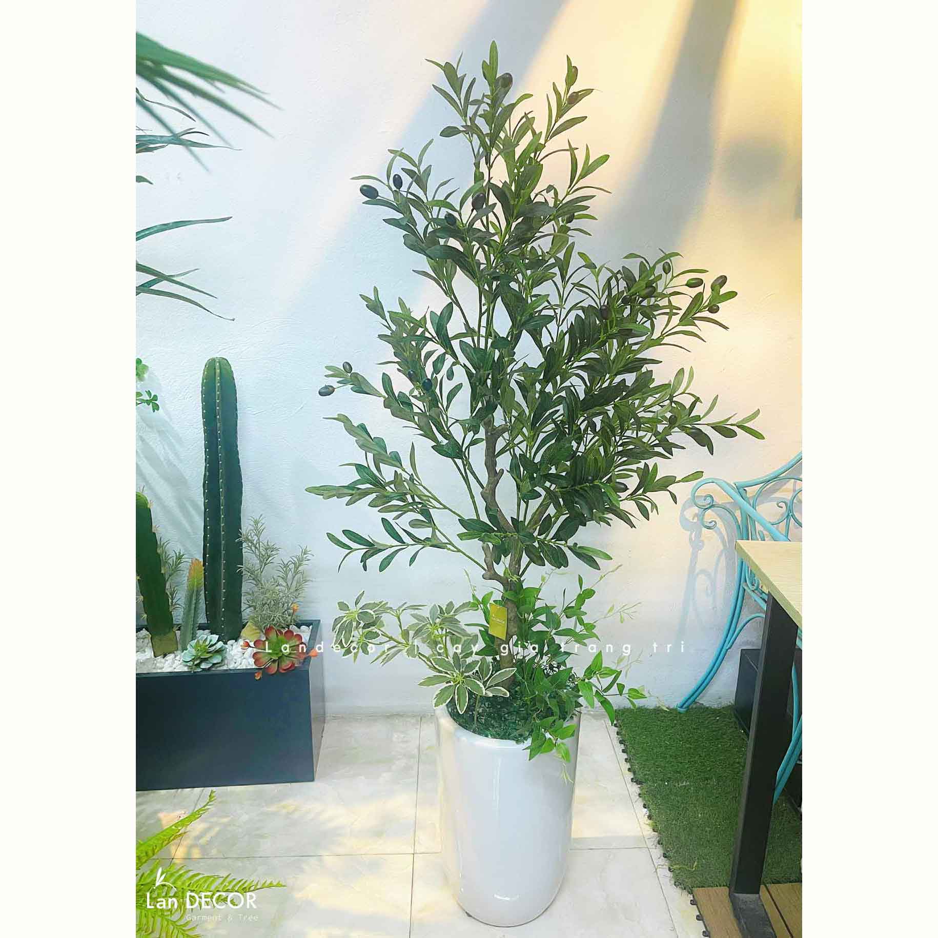 Cây Olive Giả Thiết Kế Lan Decor, Trang Trí Cửa Hiệu Xanh (130cm)- CC1303