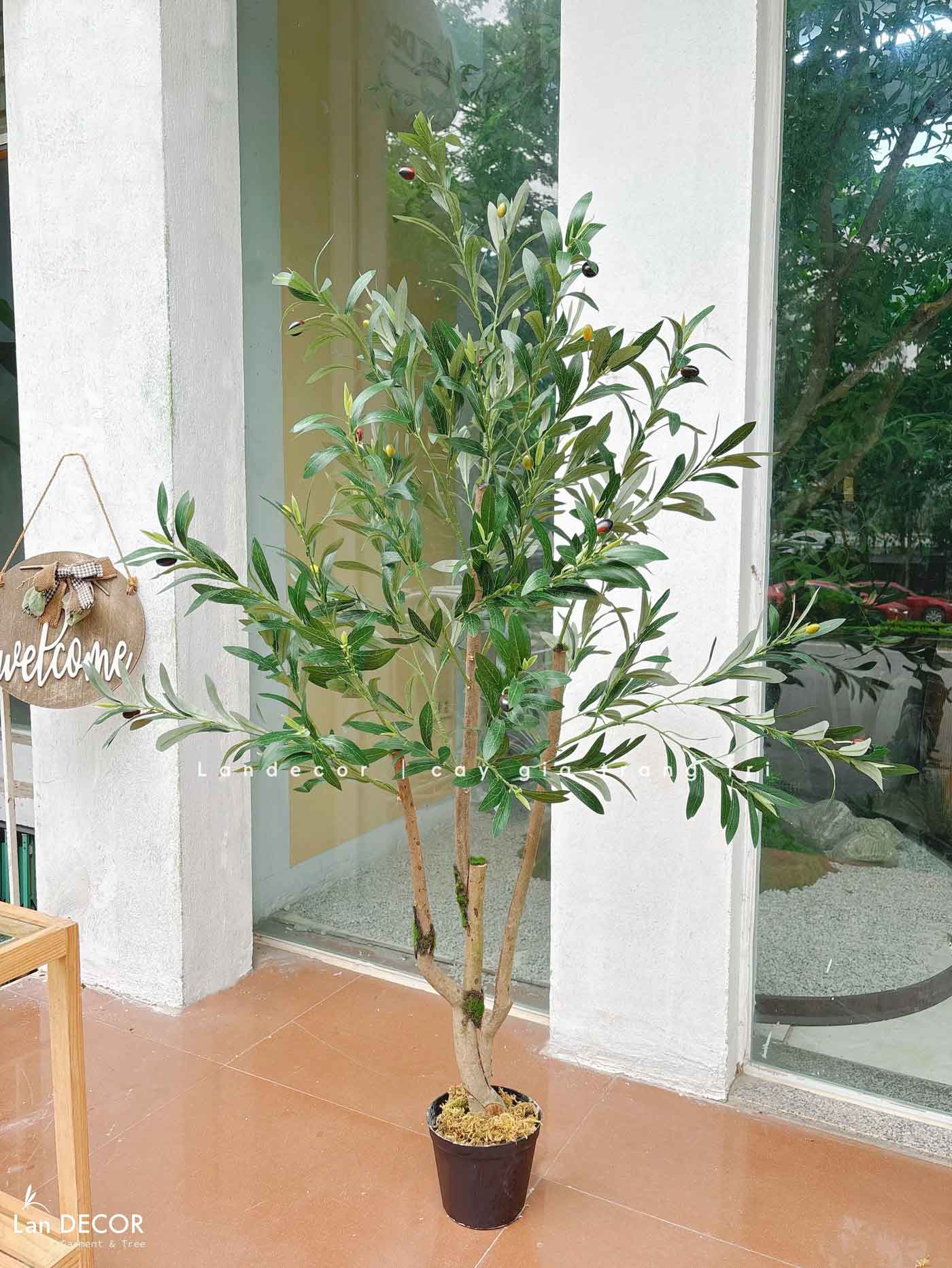 Cây Giả- Cây Olive Giả Decor Văn Phòng, Thiết Kế Tiểu Cảnh Hiện Đại (140cm)- CC1292
