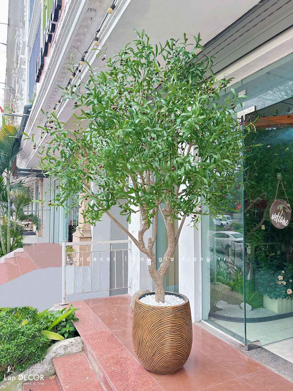Cây Oliu Giả Thiết Kế - Cây Olive Giả Thiết Kế Giếng Trời, Sảnh Khách Sạn Phong Cách Bắc Âu (250cm)- CC1273