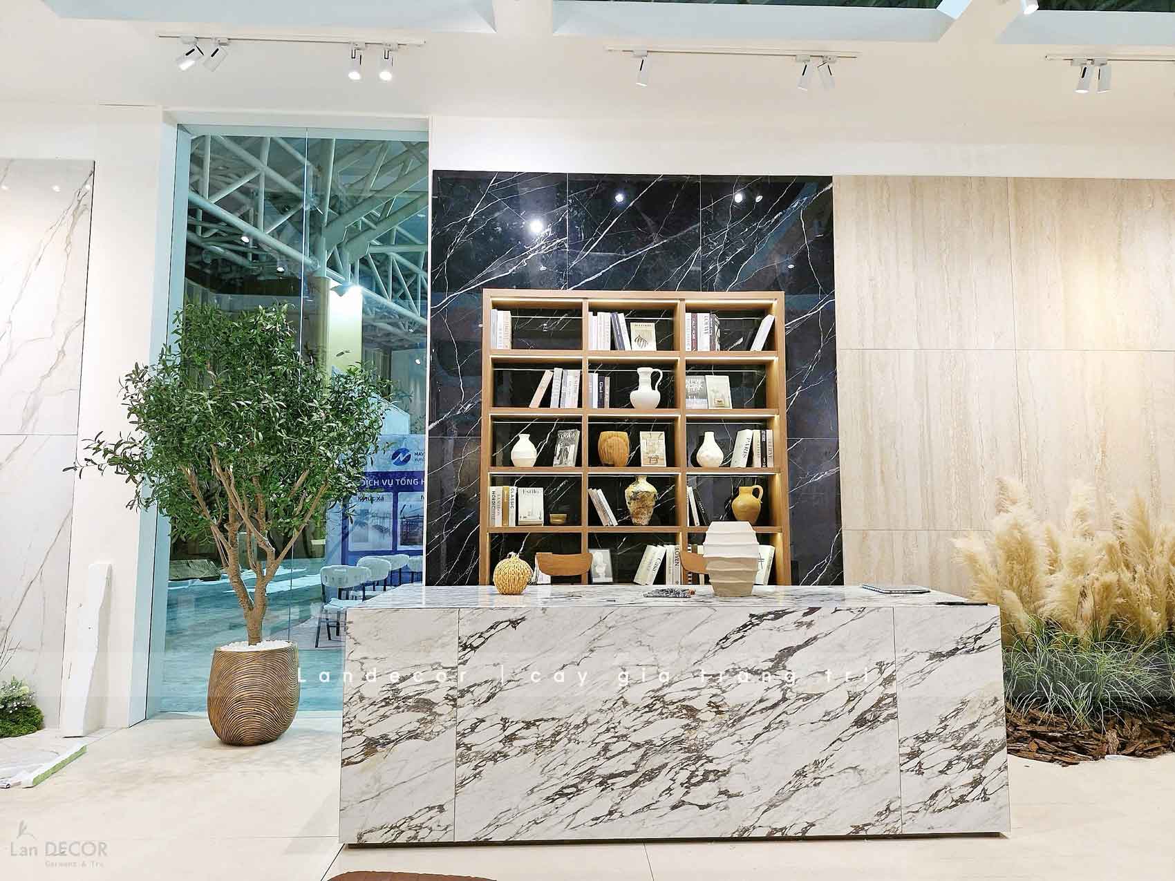 Thi Công Tiểu Cảnh Triển Lãm, Decor Concept Lau Khô Độc Đáo