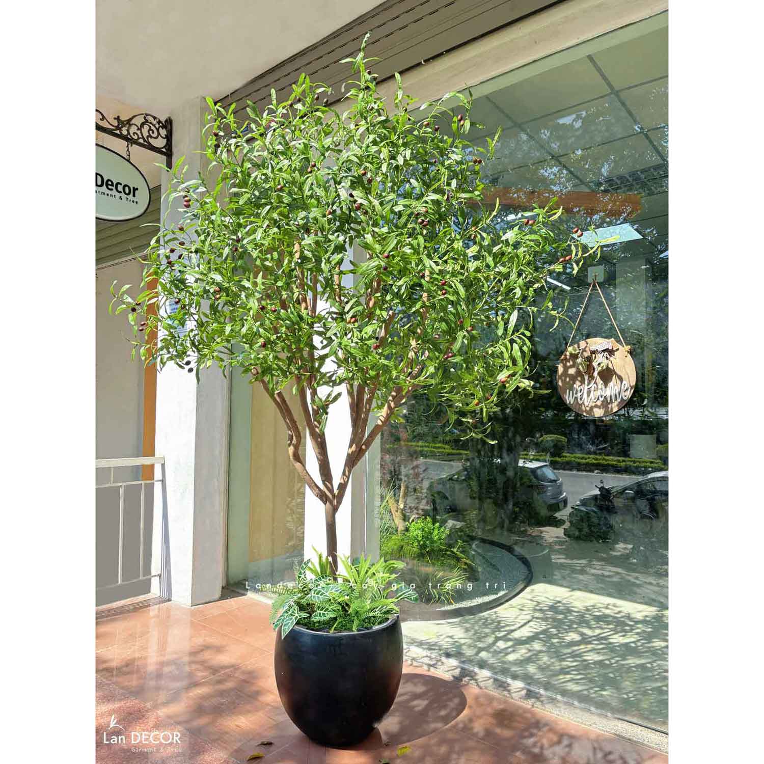 Cây Oliu Giả Thiết Kế - Cây Olive Giả Trang Trí Căn Hộ, Studio Hiện Đại, Tinh Tế (210cm)- CC1225