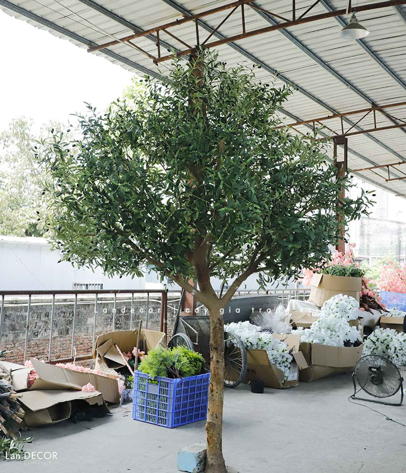 Cây Olive Giả - Thiết Kế Cây Olive Giả Trưng Bày Sảnh Công Ty, Kiến Tạo Không Gian Độc Đáo