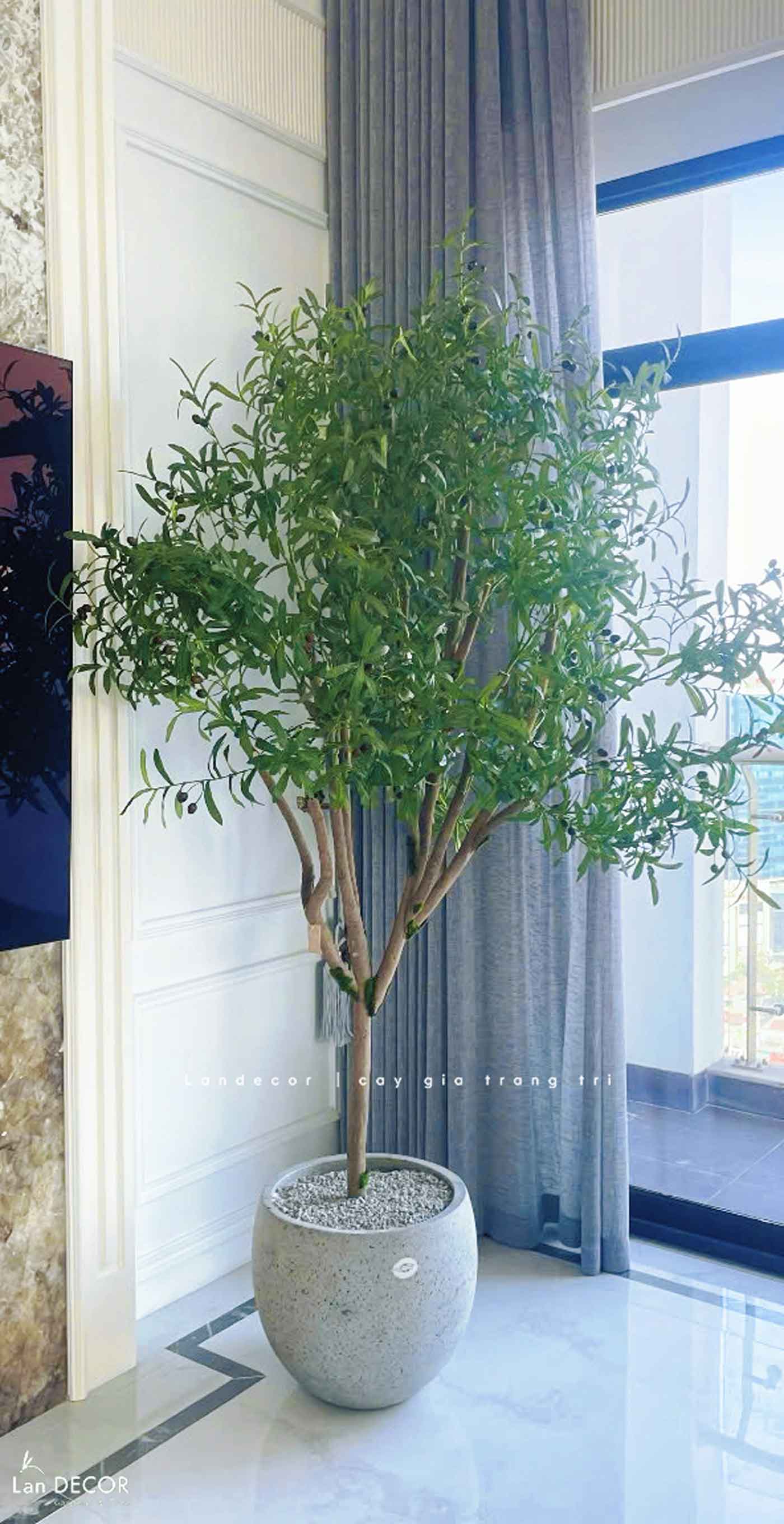 Cây Oliu Giả Thiết Kế - Cây Olive Giả Trang Trí Căn Hộ, Studio Hiện Đại, Tinh Tế (210cm)- CC1225
