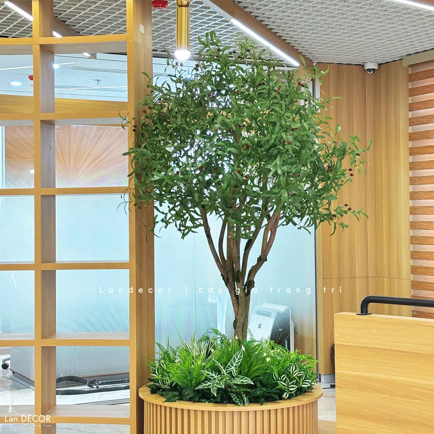 Thiết Kế, Thi Công Tường Cây Giả, Tường Rêu Giả, Bồn Cây Tiểu Cảnh Văn Phòng Tây Tựu