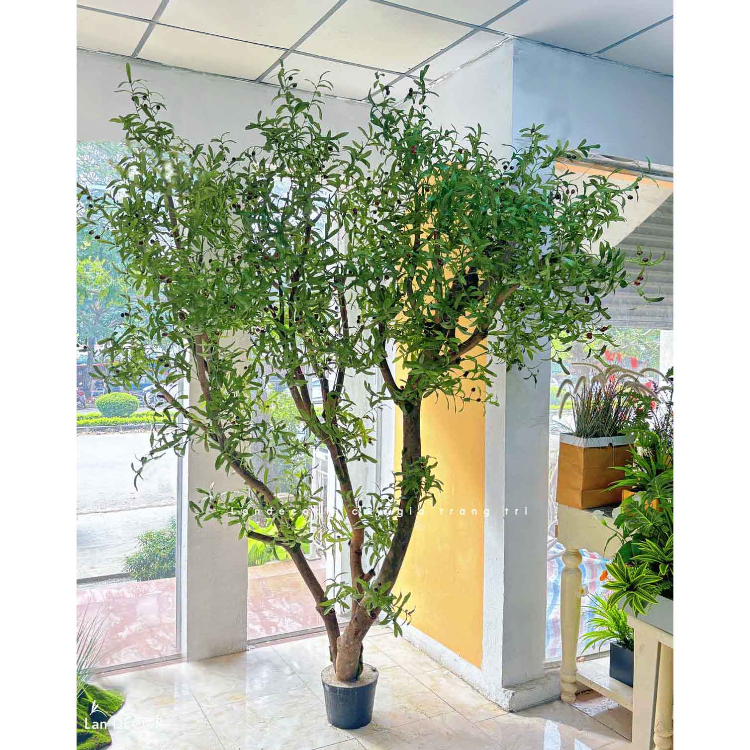Cây Giả Tiểu Cảnh- Cây Olive Giả Trang Trí Tiểu Cảnh Cho Không Gian Lớn (285cm)- CC1222